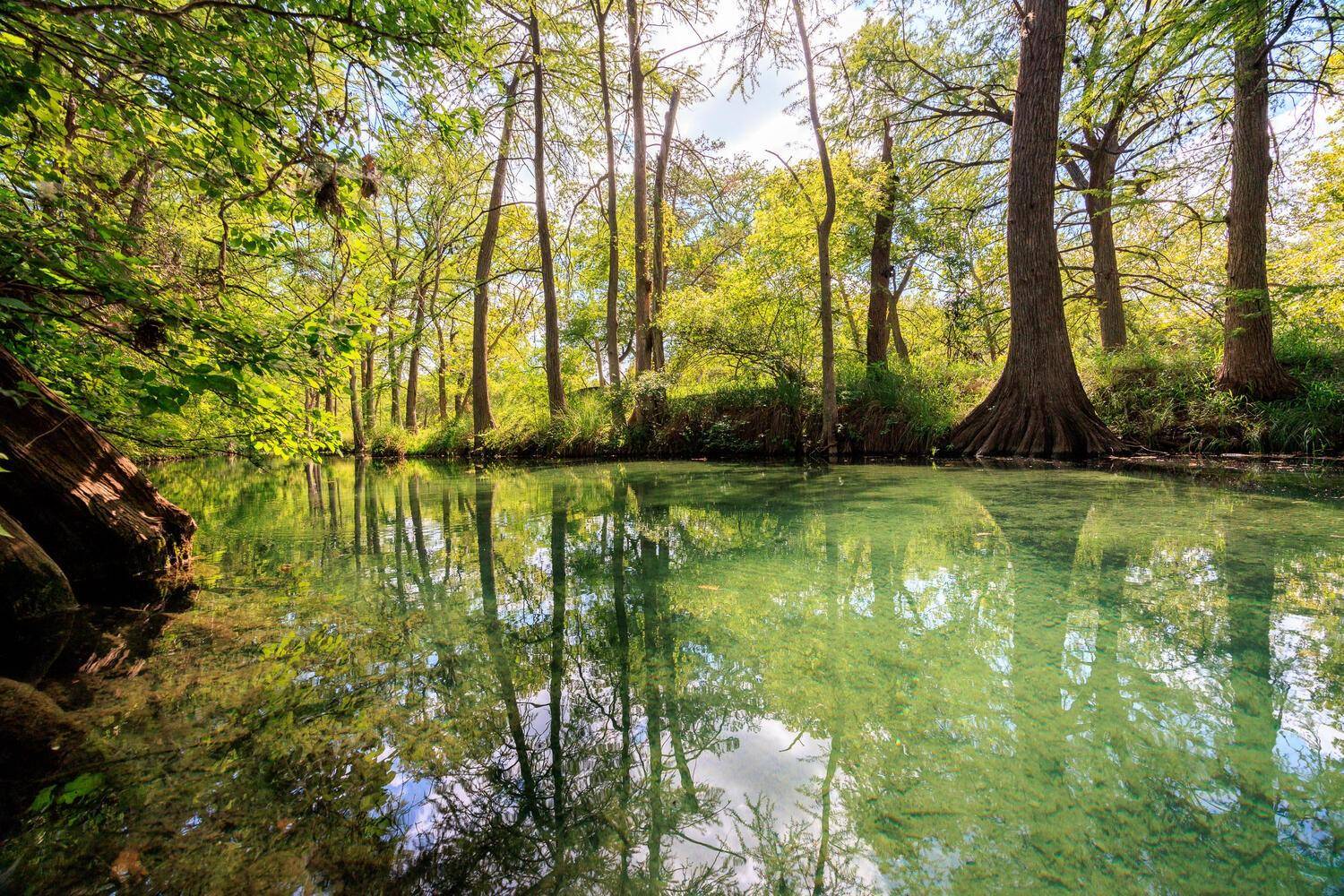 Wimberley, TX 78676,201 Blue Hole Lane LN