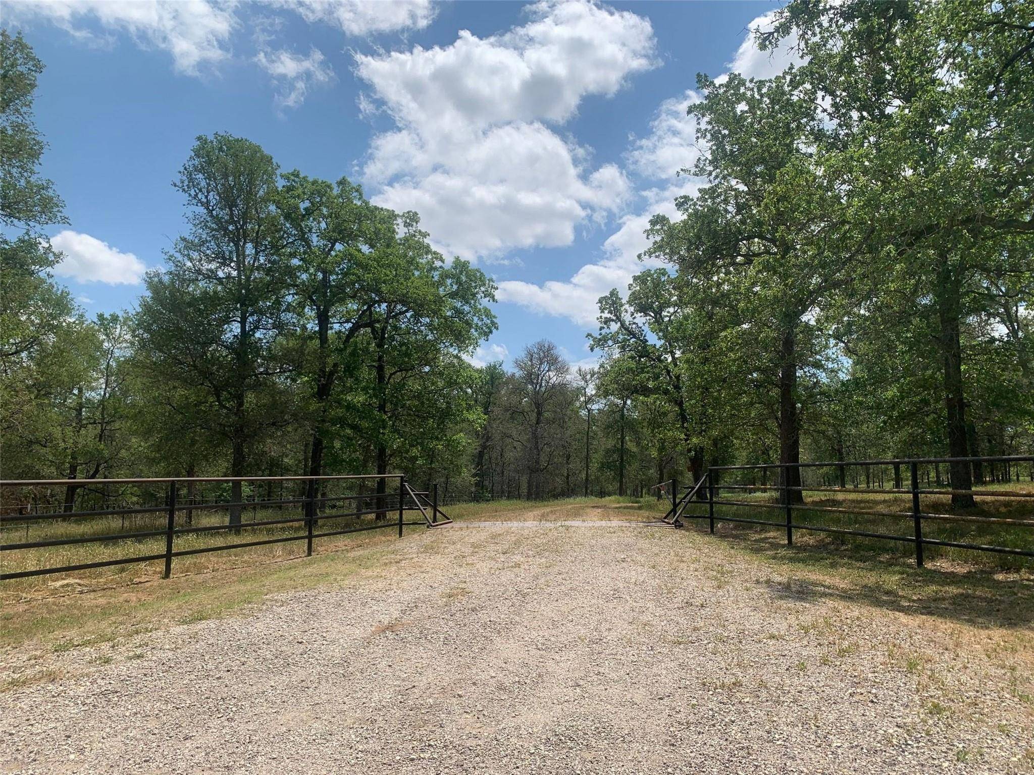 Bastrop, TX 78602,TBD Lower Red Rock RD