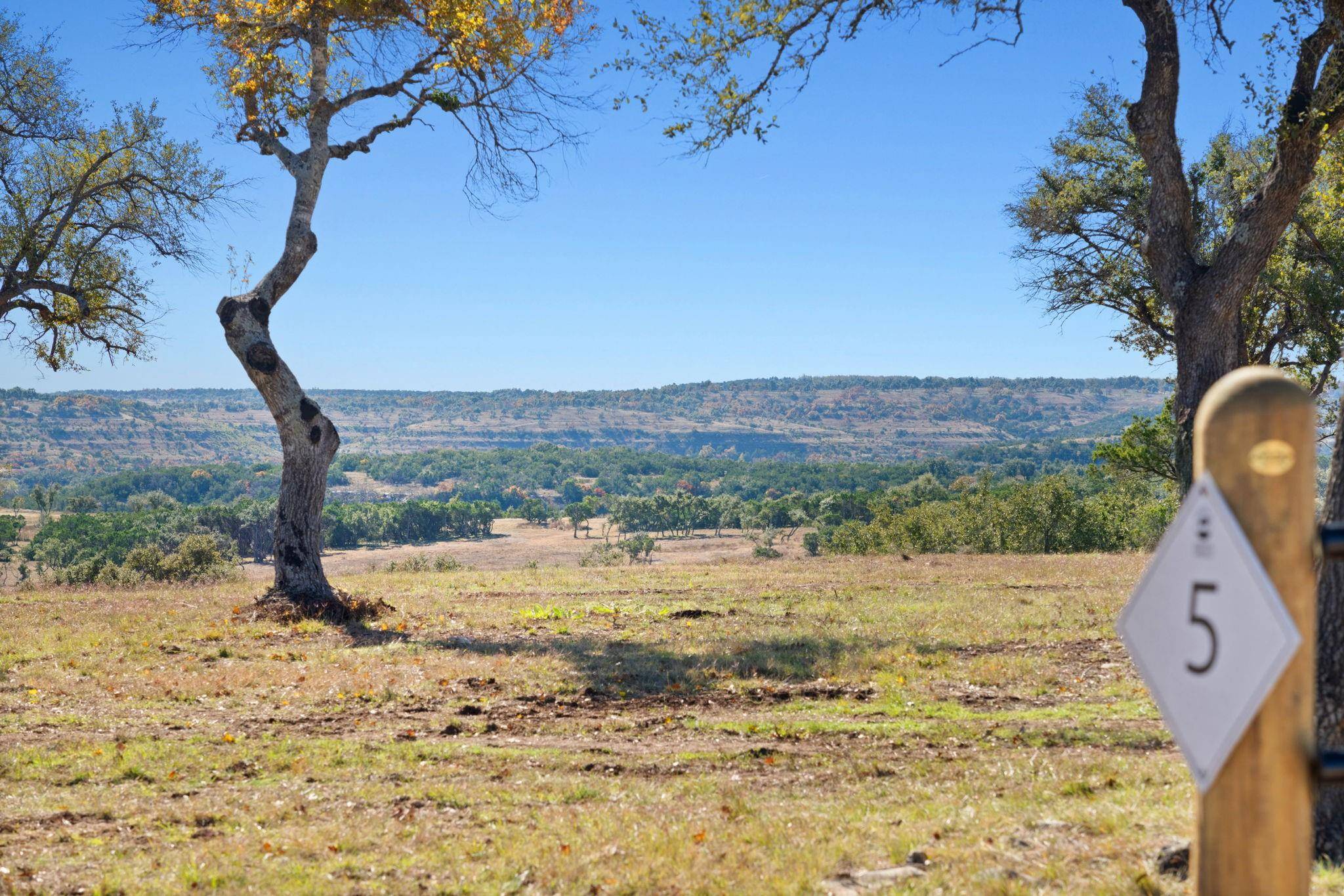 Dripping Springs, TX 78620,3300 FM 165 Lot 5