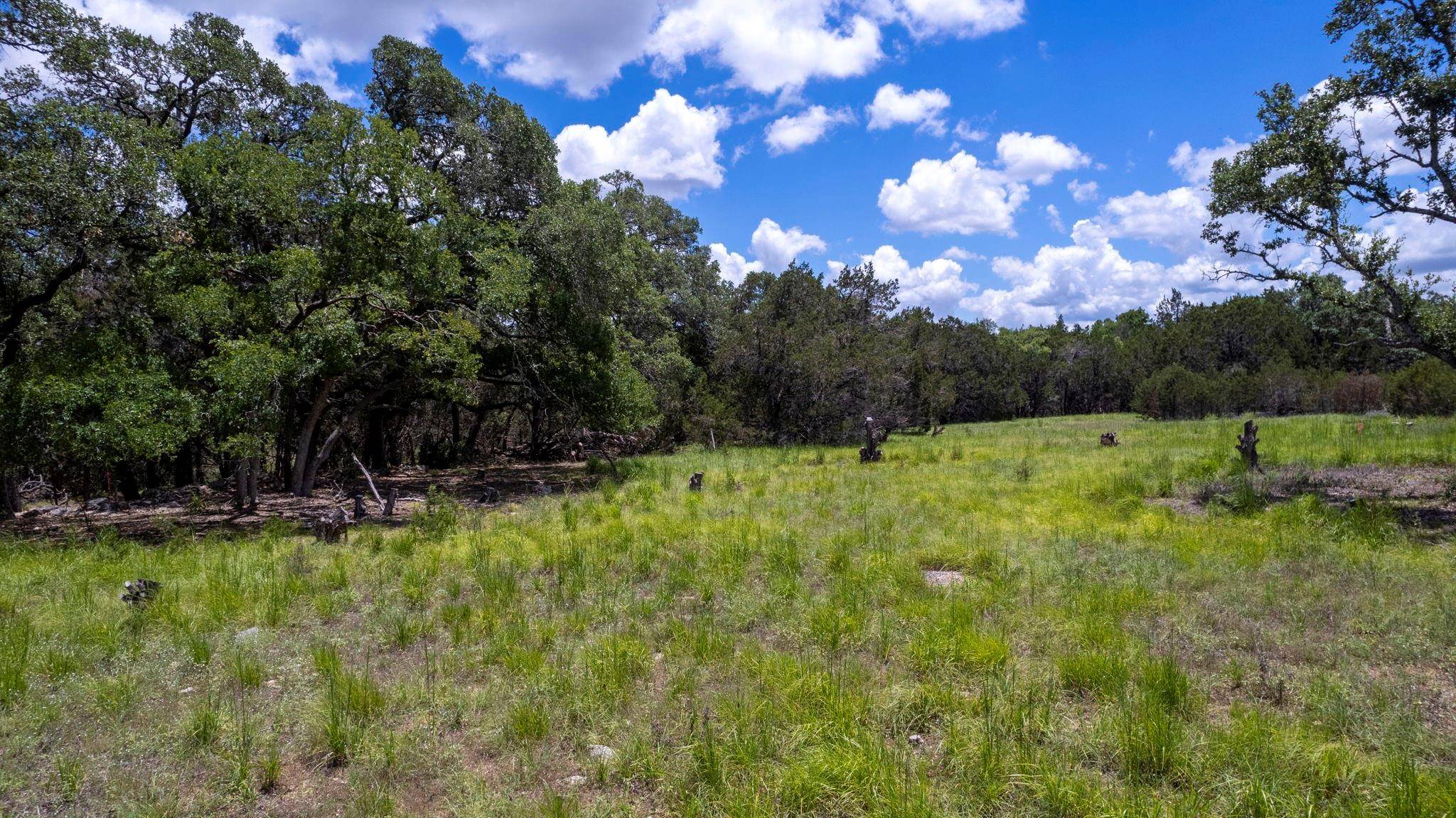 Wimberley, TX 78676,36 Moonlight LN