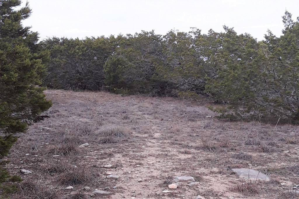 Bertram, TX 78605,Lot-116 Oak Crest DR
