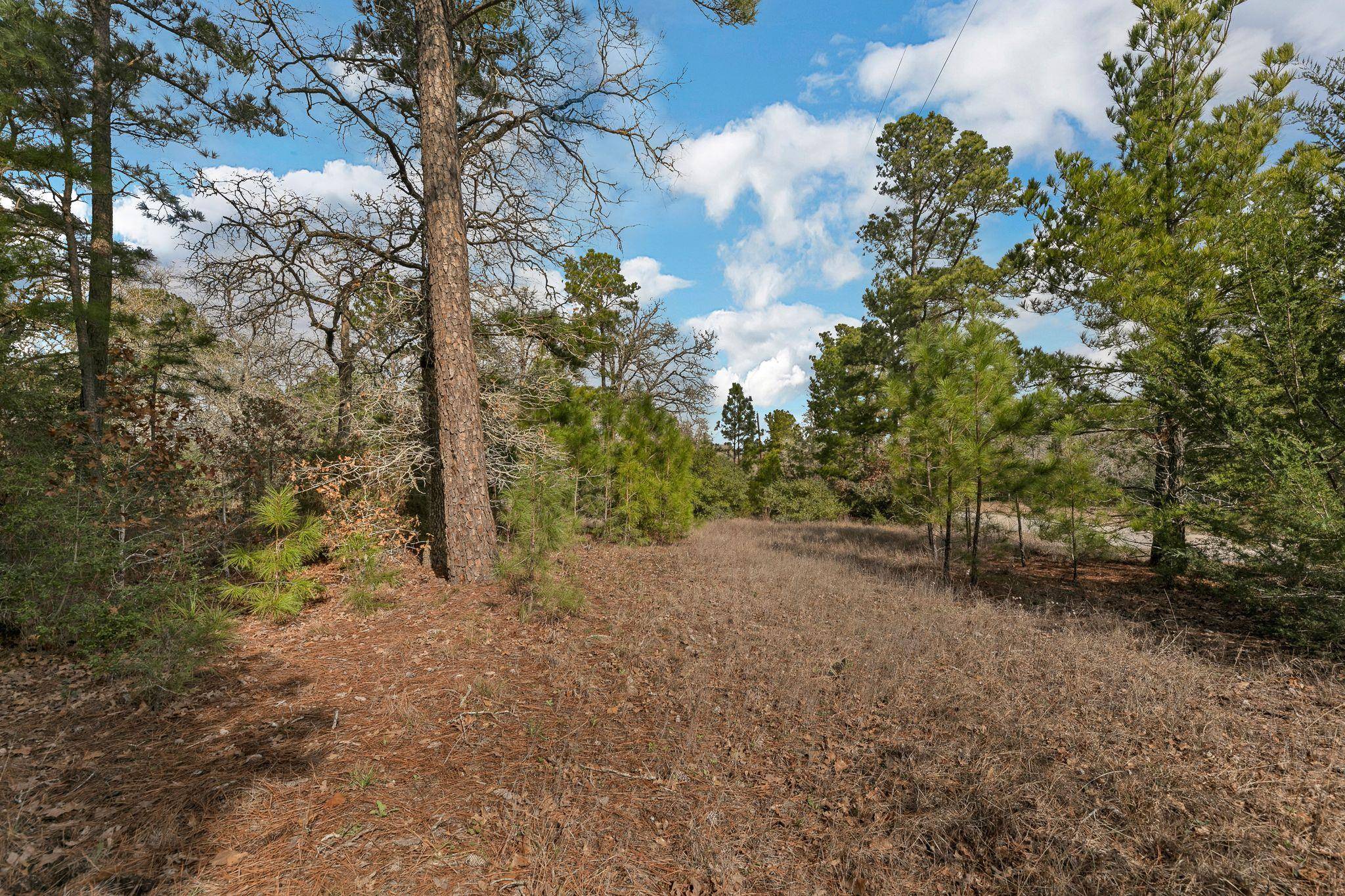 Paige, TX 78659,492 S Old Potato RD