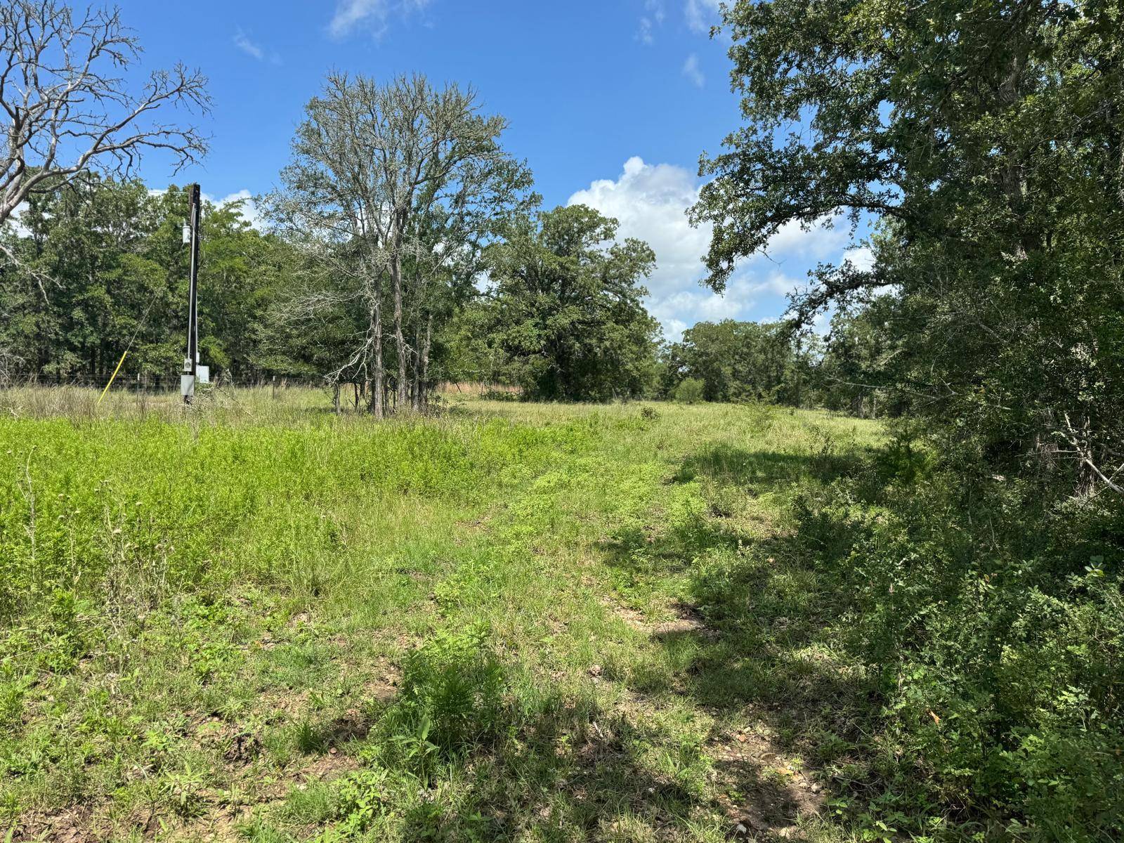 Ledbetter, TX 78946,3519 County Road 127