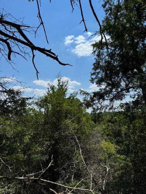 Bastrop, TX 78602,157 Lamaloa LN