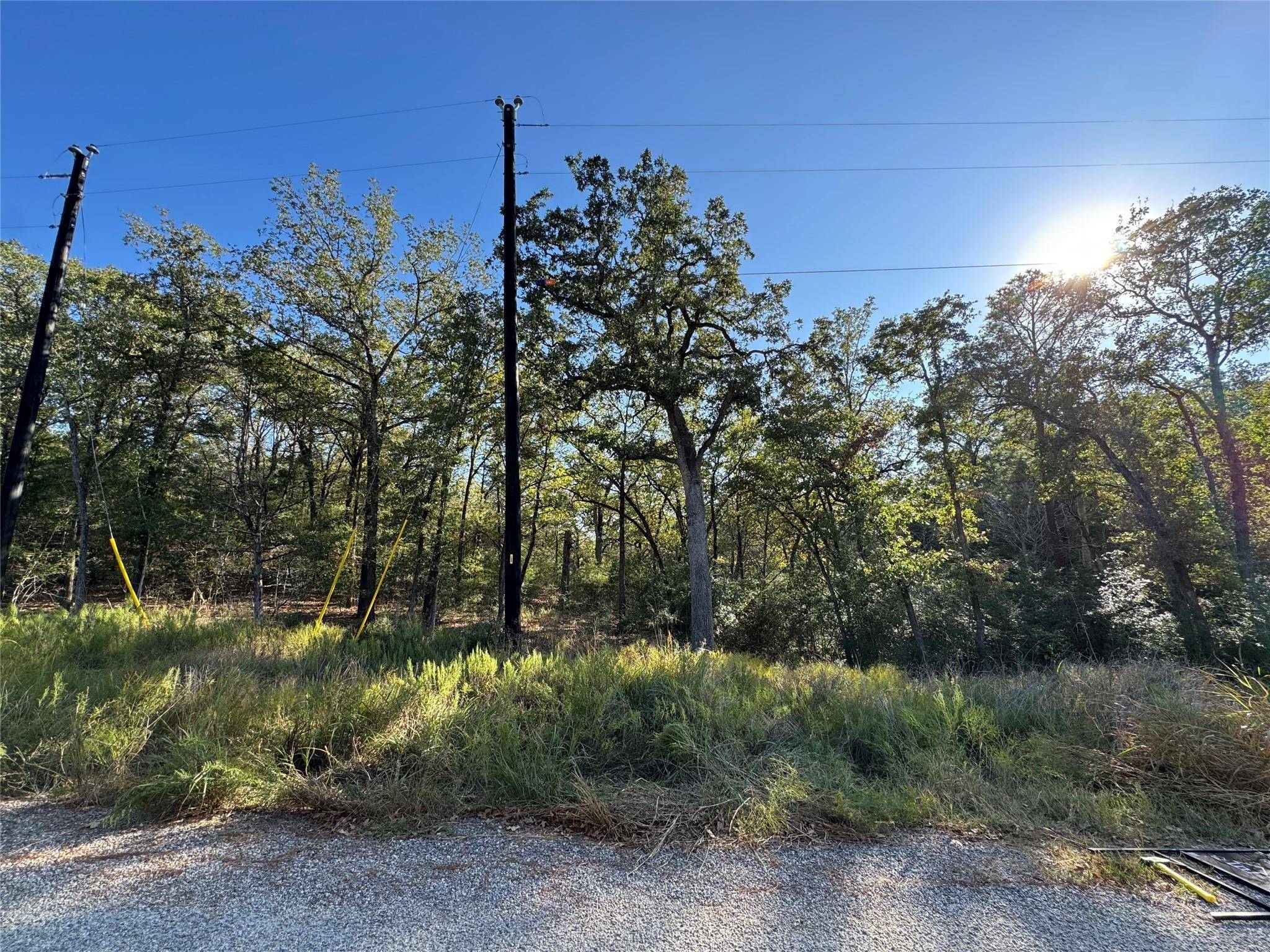 Bastrop, TX 78602,0000 Wailupe CIR