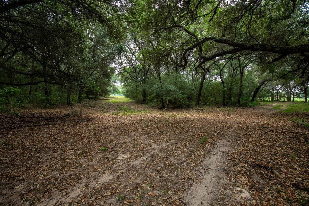 Hallettsville, TX 77964,TBD County Road 90 E