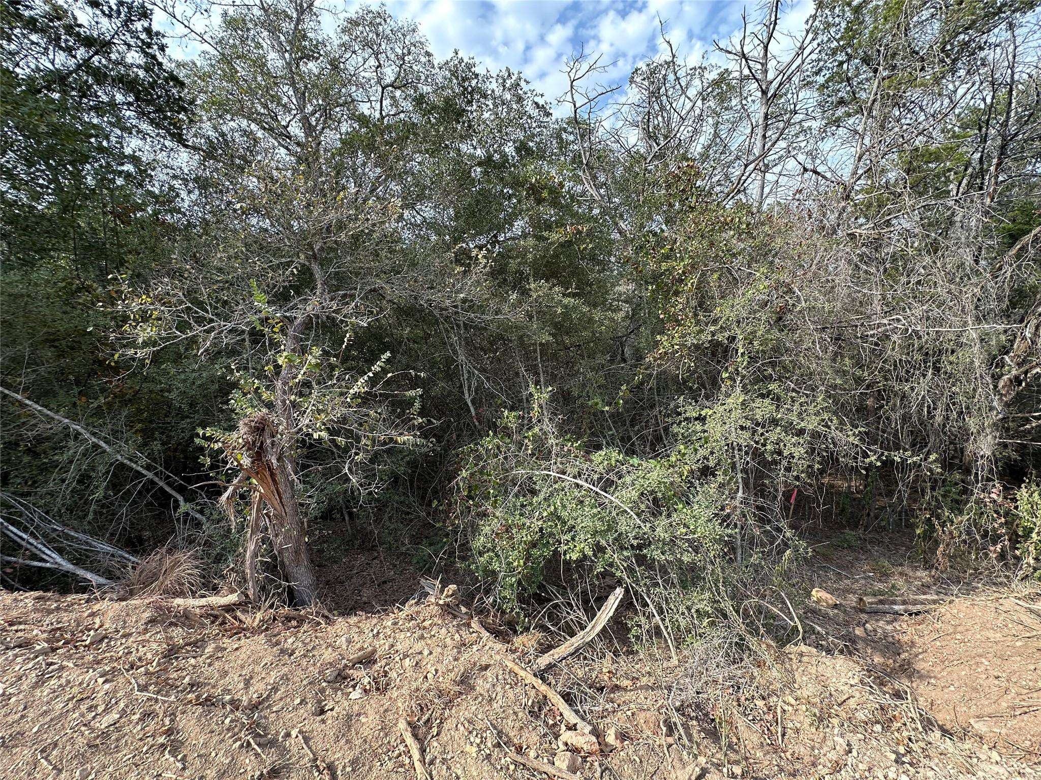 Bastrop, TX 78602,Lot 1233 Hanauma DR