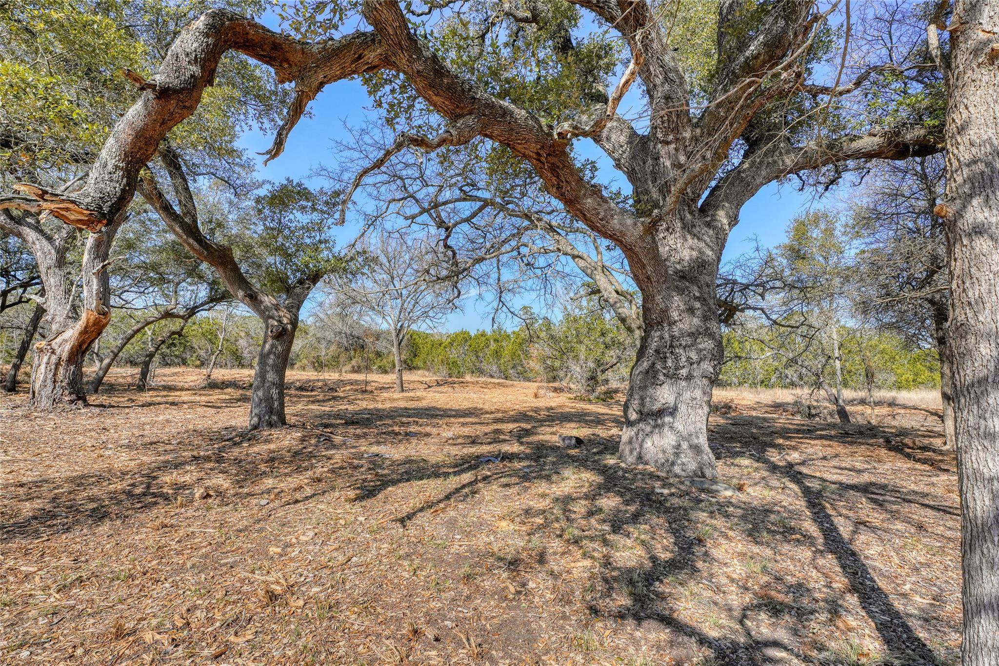 Burnet, TX 78611,lot 21 Burnet Oaks DR