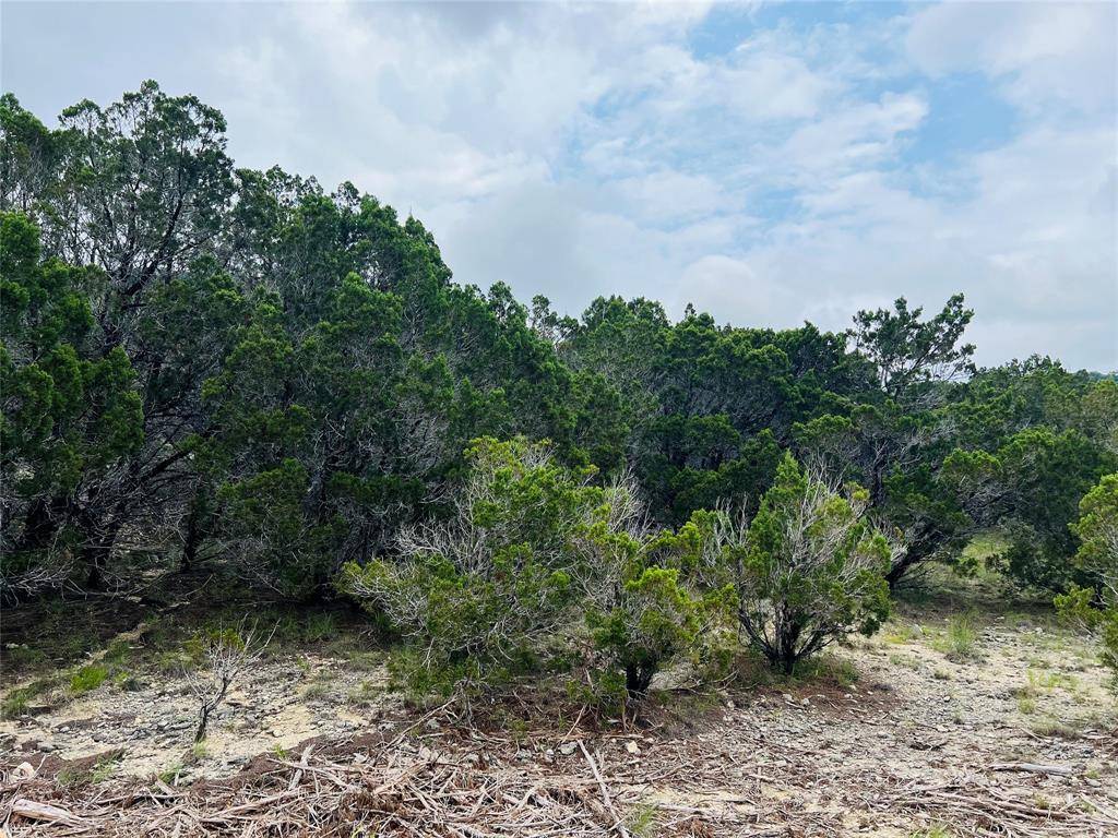 Lago Vista, TX 78645,21603 Wyoming PASS