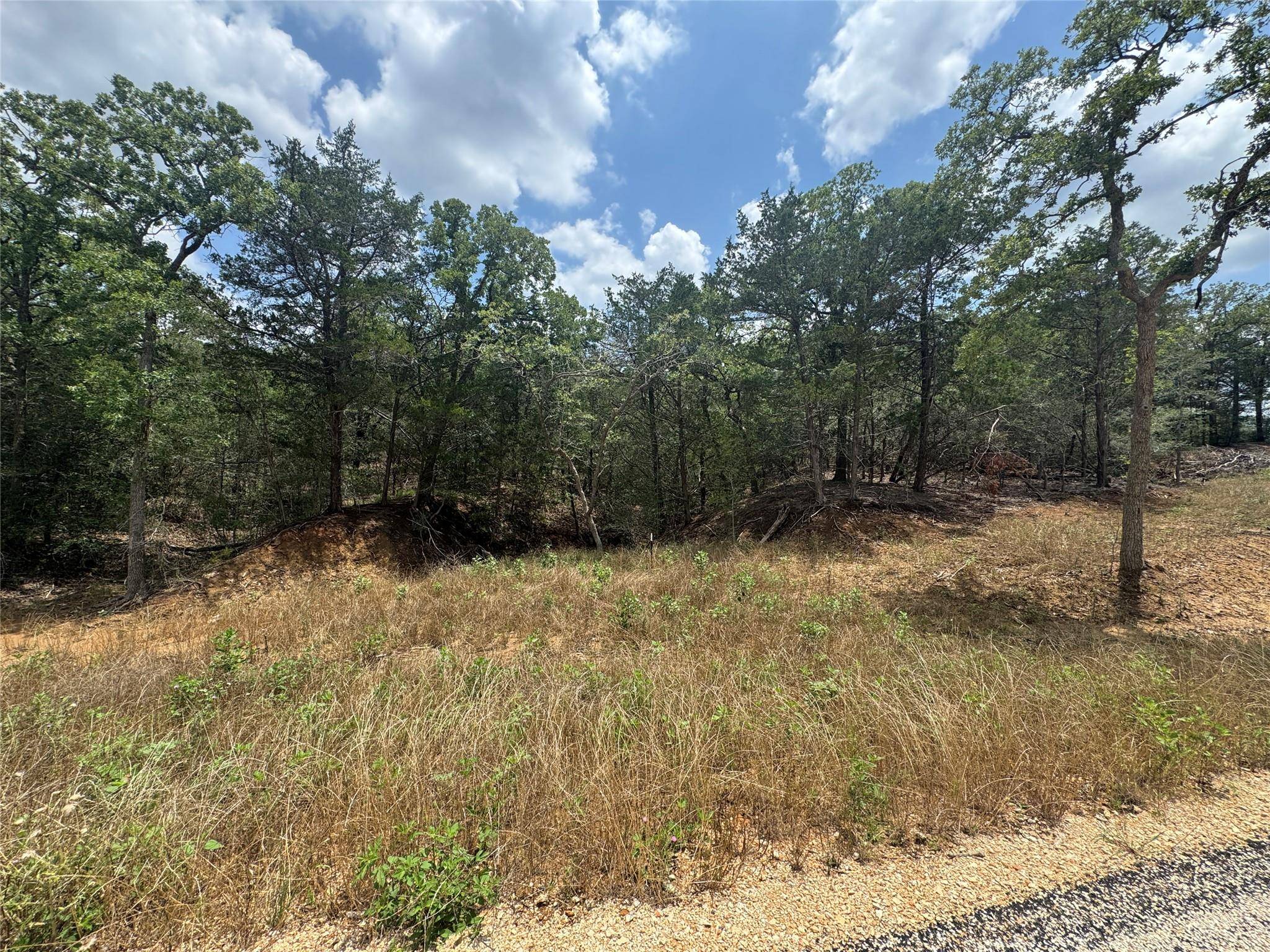 Dale, TX 78616,Lot 16 Hailey LN