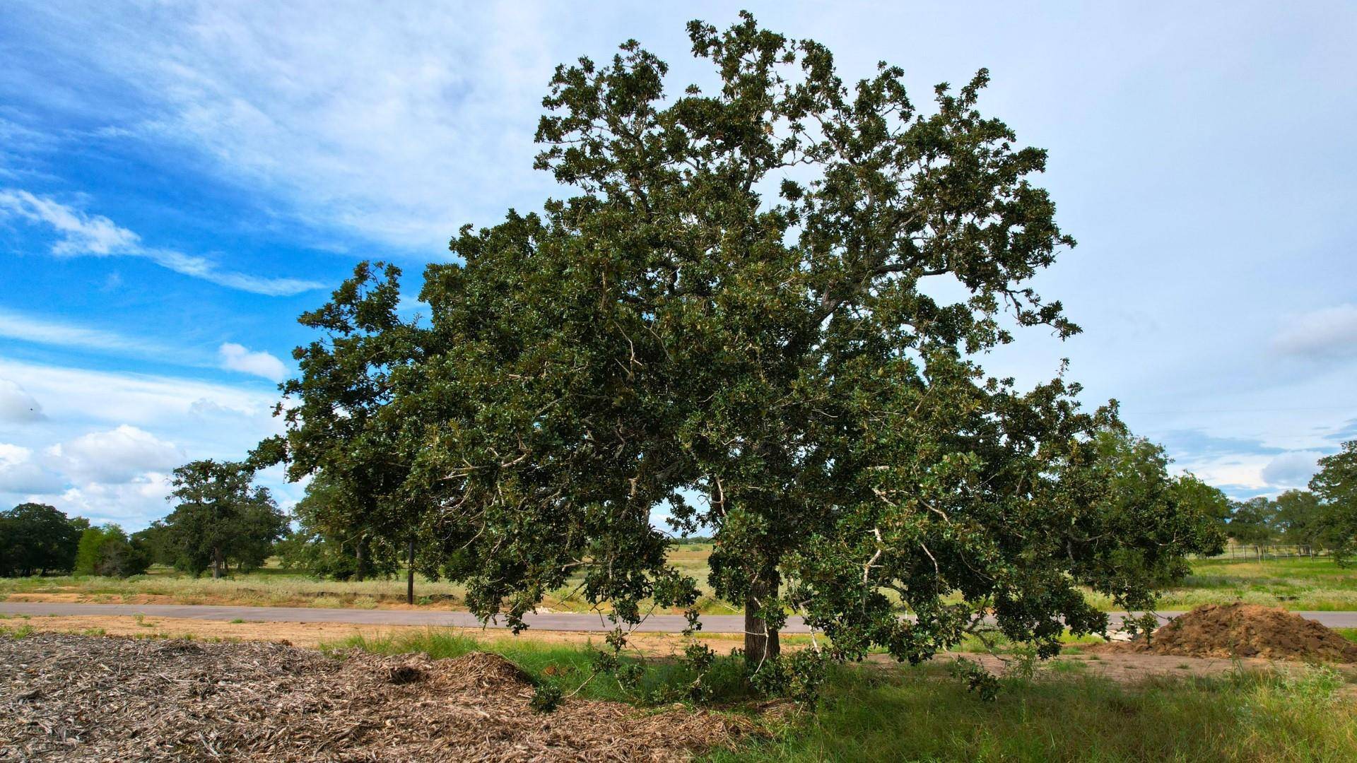 Dale, TX 78616,1222 Ferguson LOOP