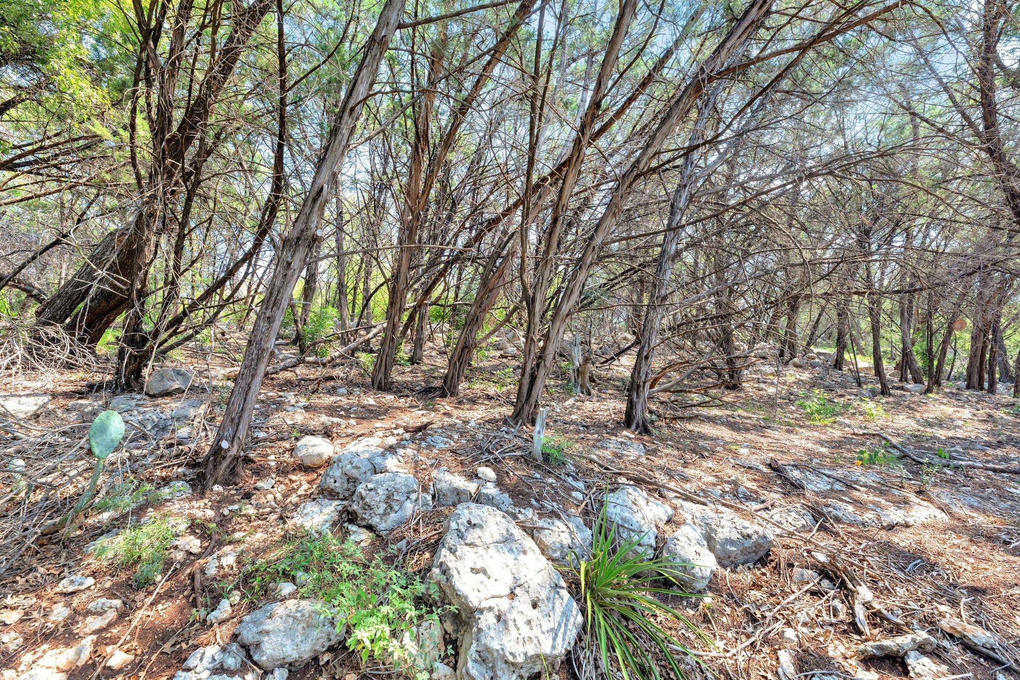 Lakeway, TX 78734,106 Tamarac CT