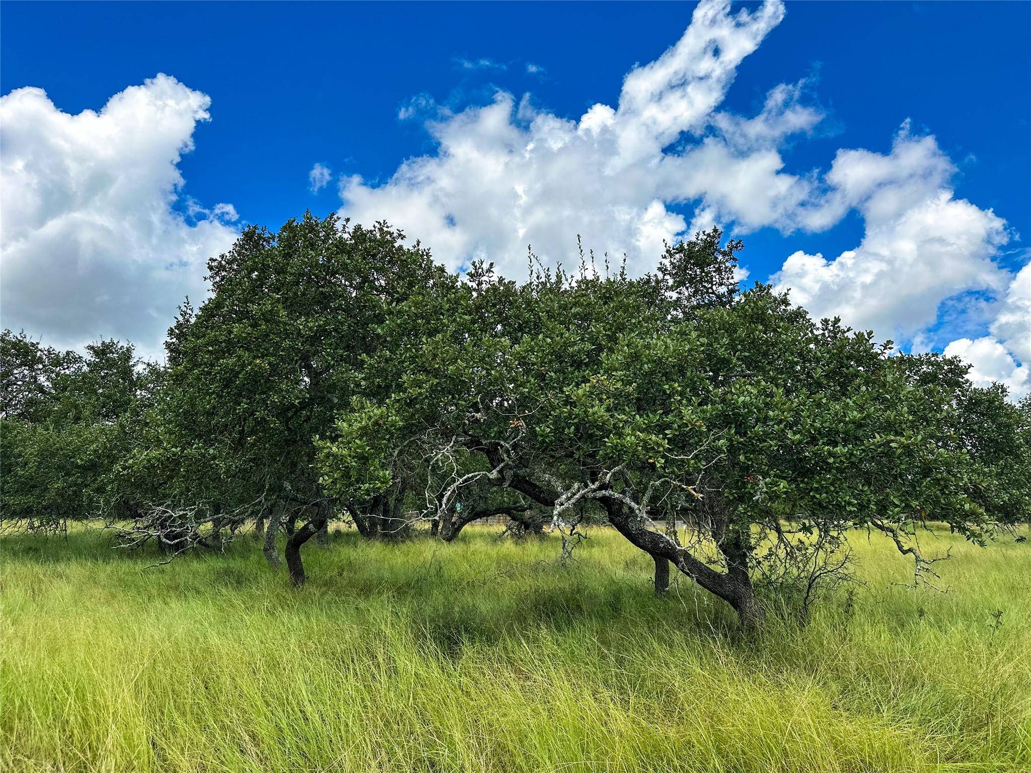 Wimberley, TX 78676,3942 Mount Sharp RD