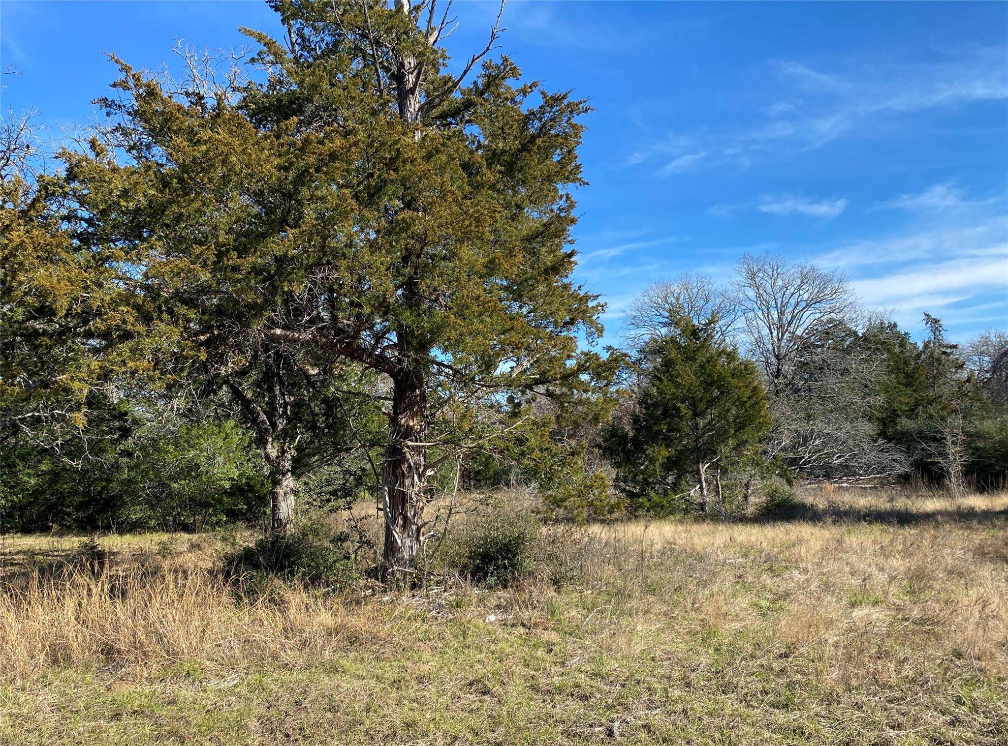 Lexington, TX 78947,TBD Creekside LN