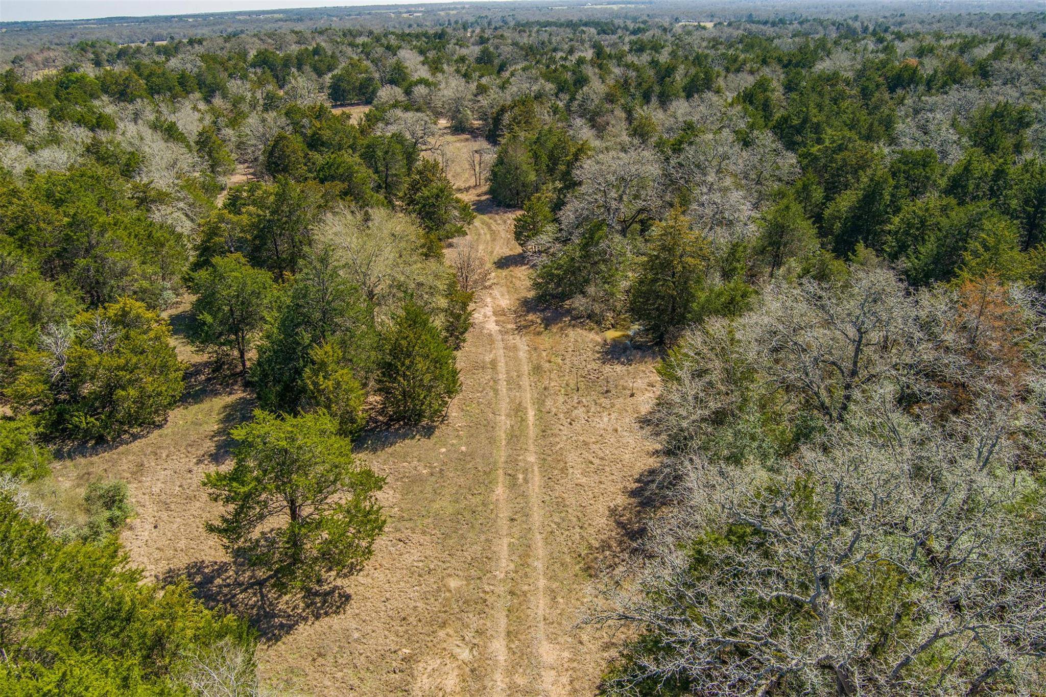Paige, TX 78659,TBD Edgewood TRL