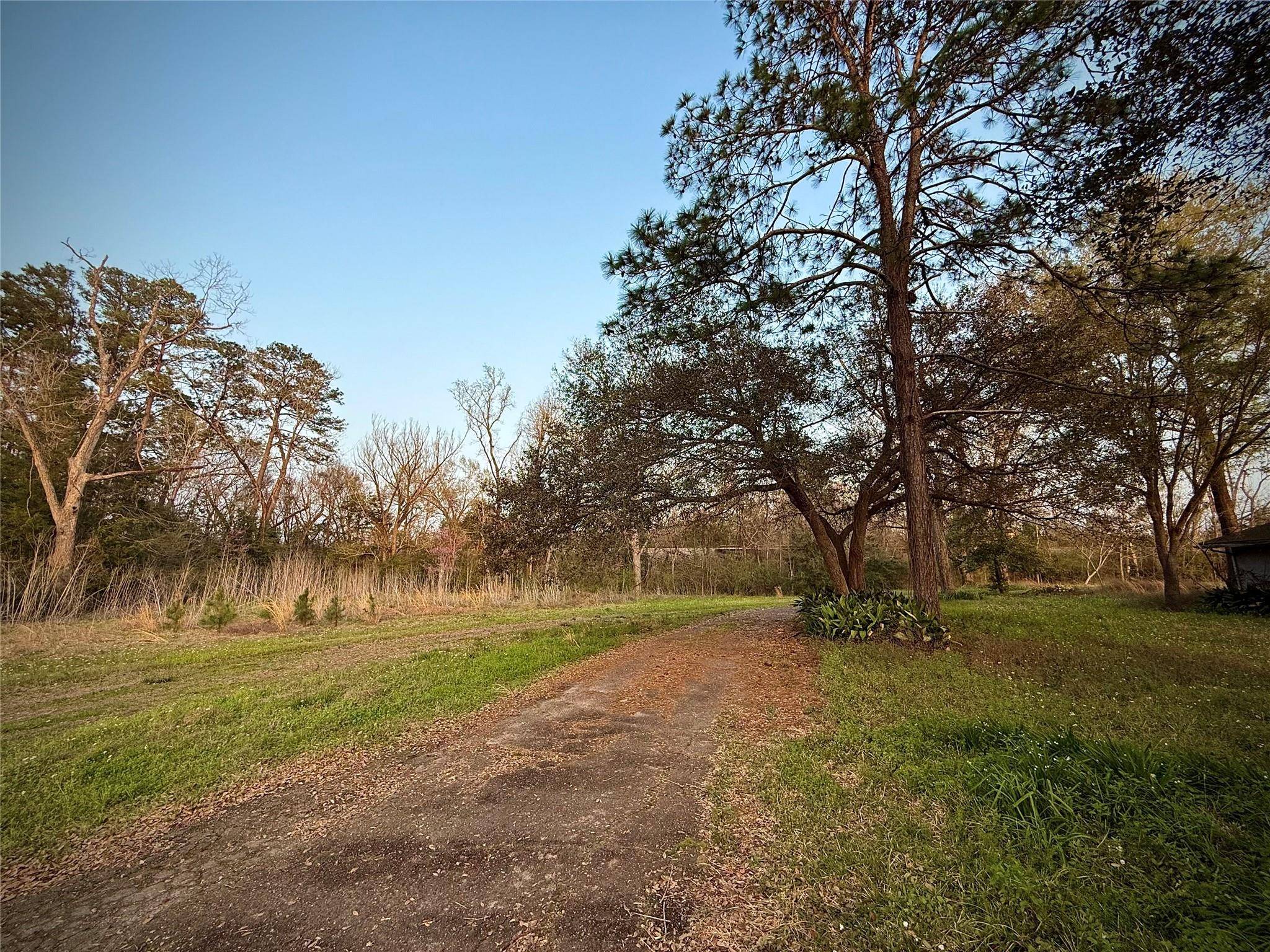 Livingston, TX 77351,2101 N Beatty Ave