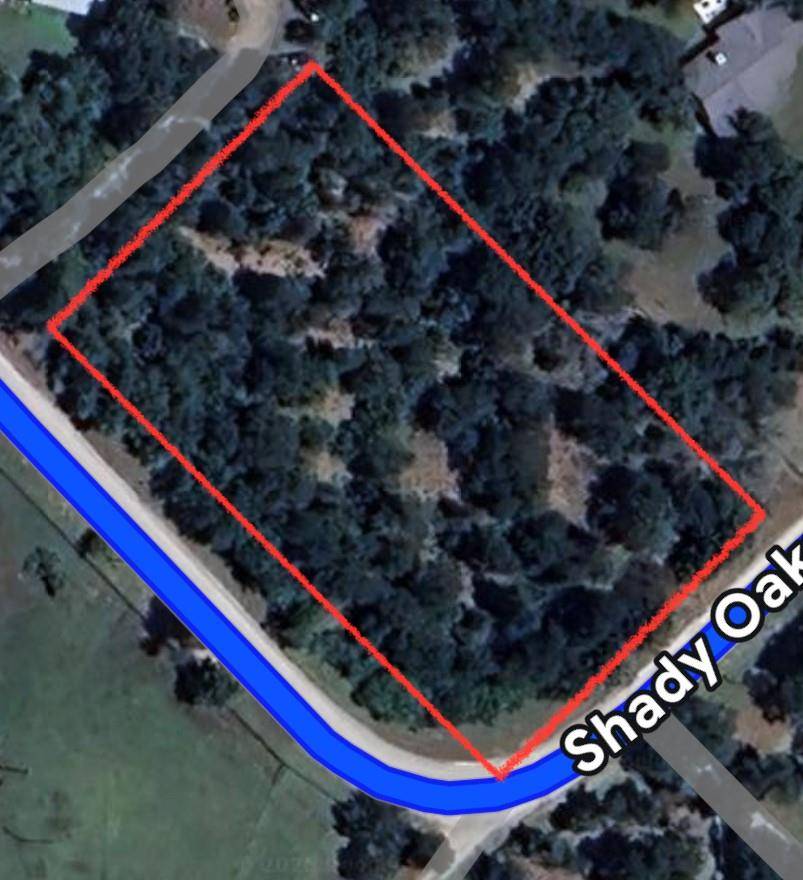 Cedar Creek, TX 78612,TBD Shady Oaks LOOP