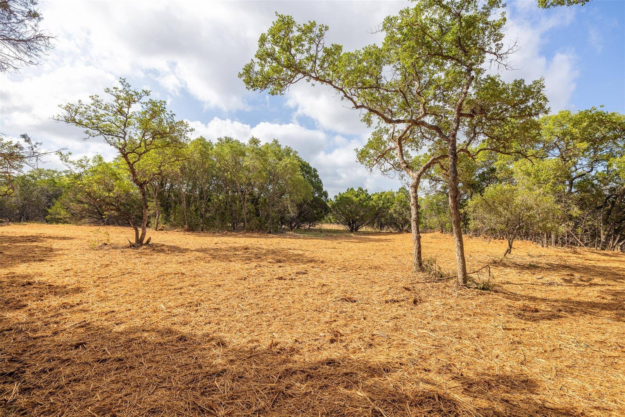 Wimberley, TX 78676,TBD Deer Run