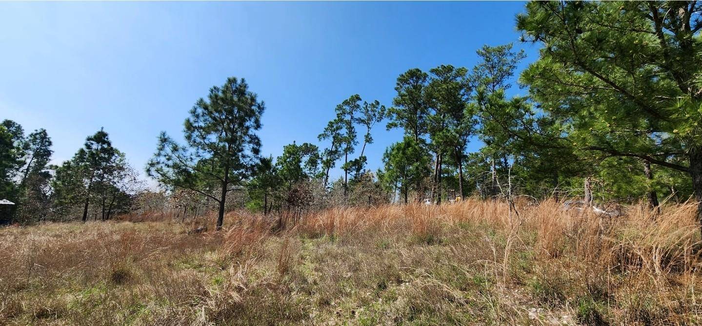 Bastrop, TX 78602,TBD OAHU CT