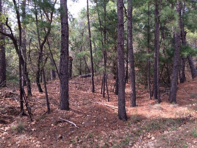 Bastrop, TX 78602,152 Molokini DR