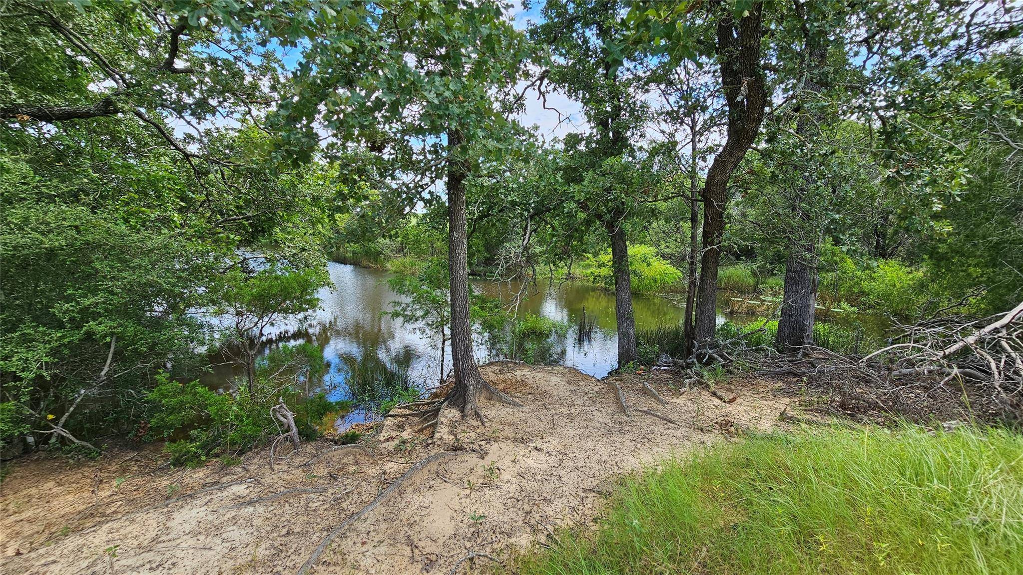 Thrall, TX 76578,2055 CR 481 Tract 1