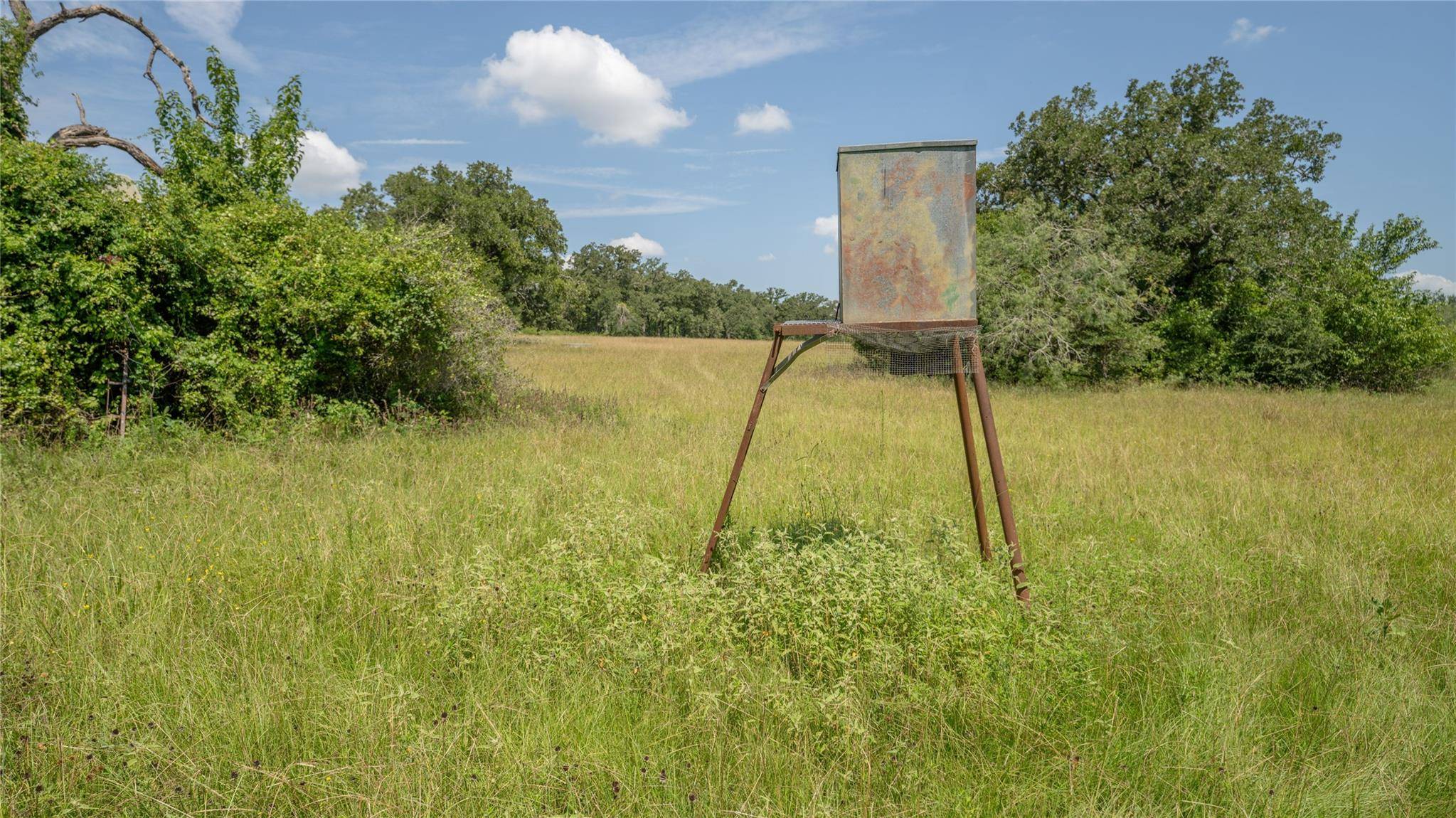 Milano, TX 76556,1669-A County Road 328