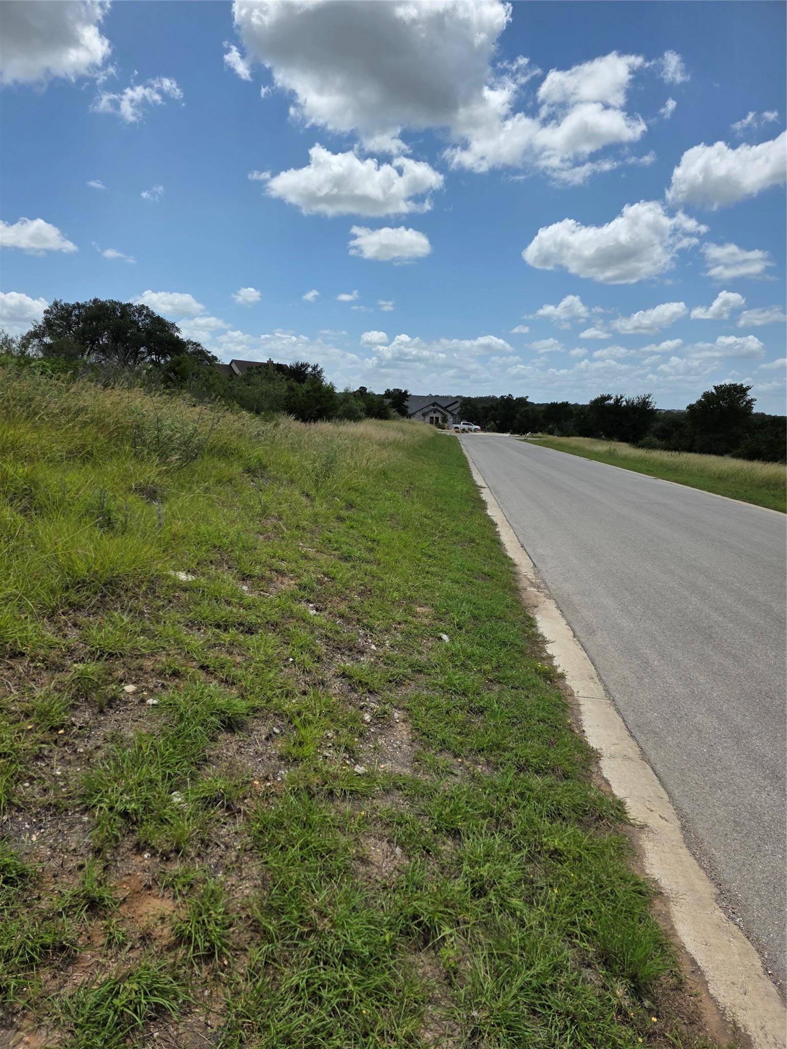 Spicewood, TX 78669,LOT 206 Enchanted  Oak PT