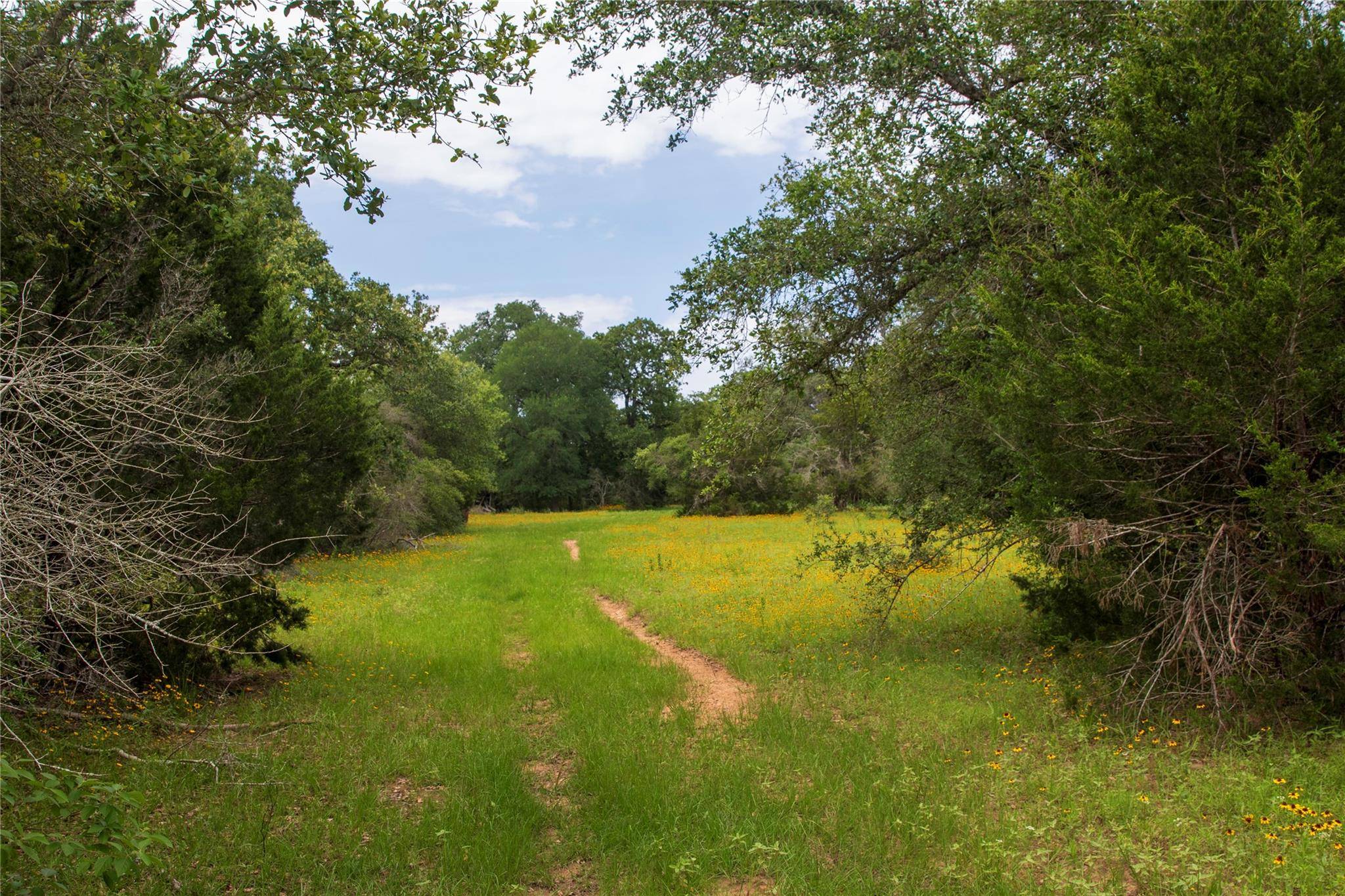 Weimar, TX 78962,TBD CR 213