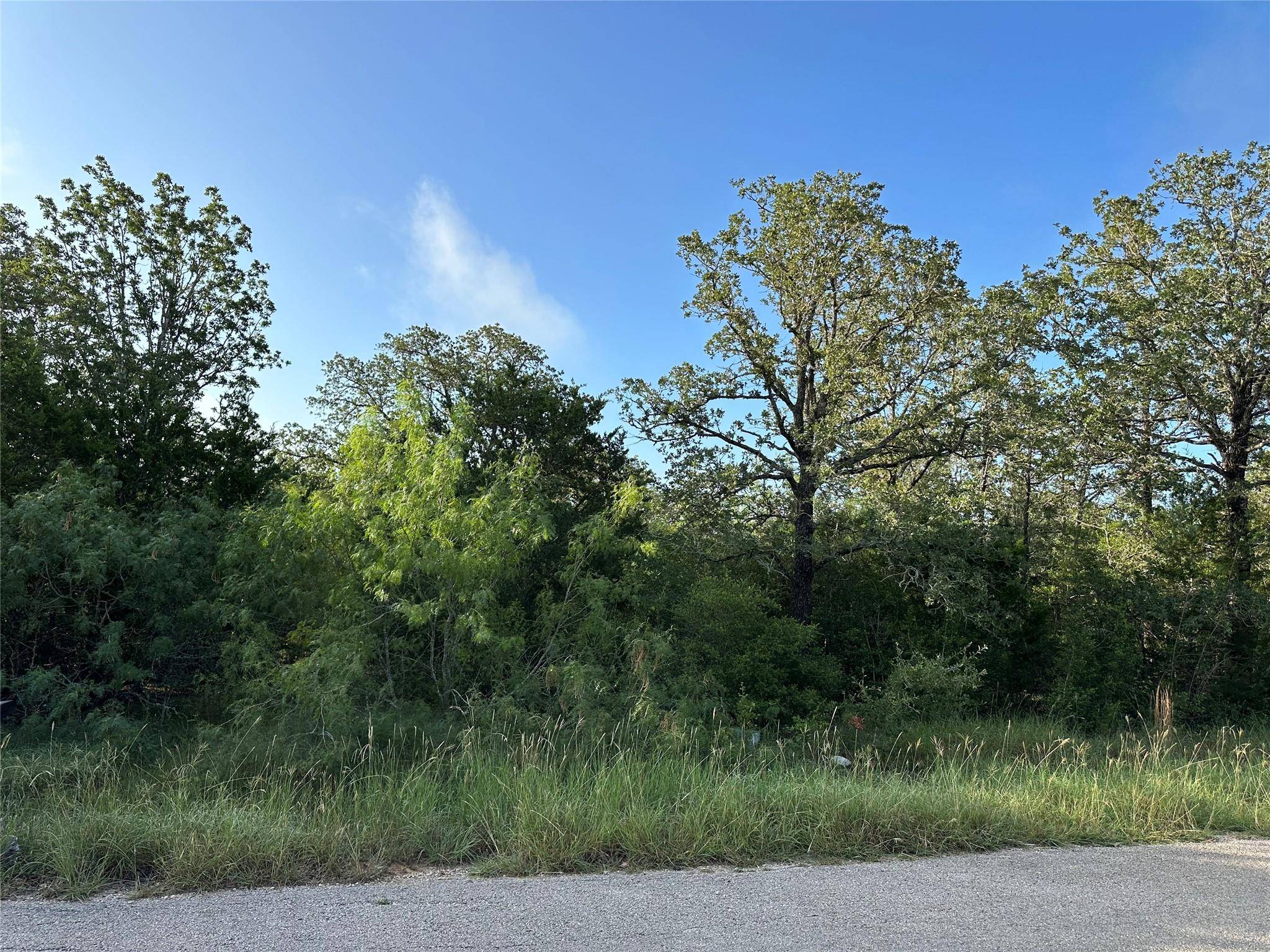 Bastrop, TX 78602,TBD (Lot 22) Torchlight DR