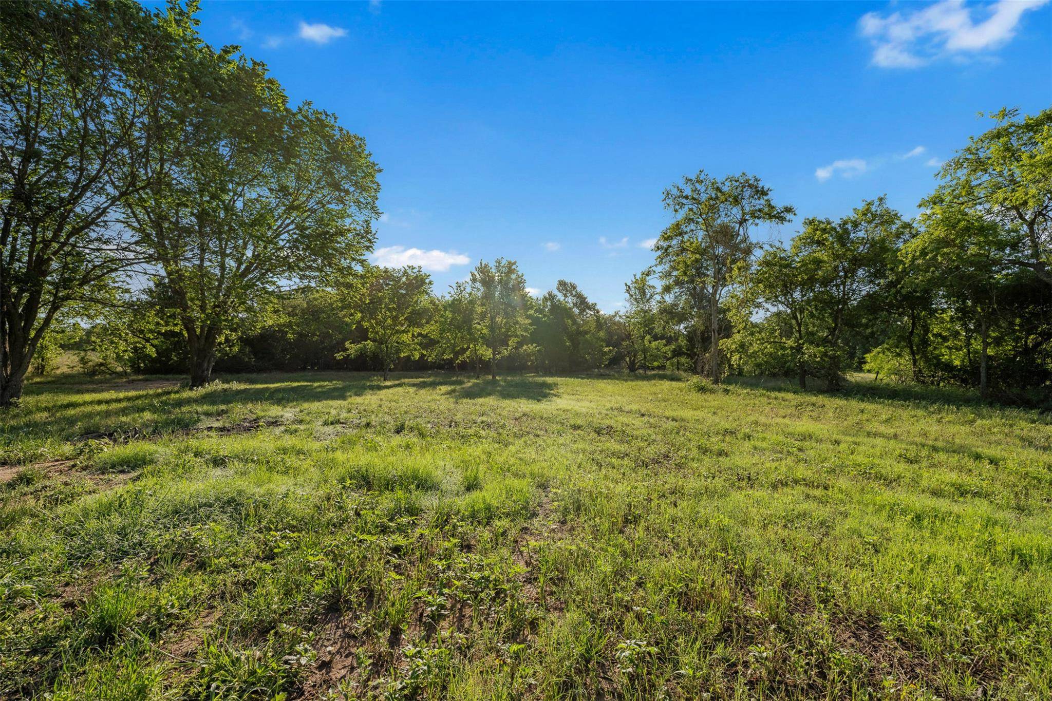 Cameron, TX 76520,3009 S Highway 77 HWY