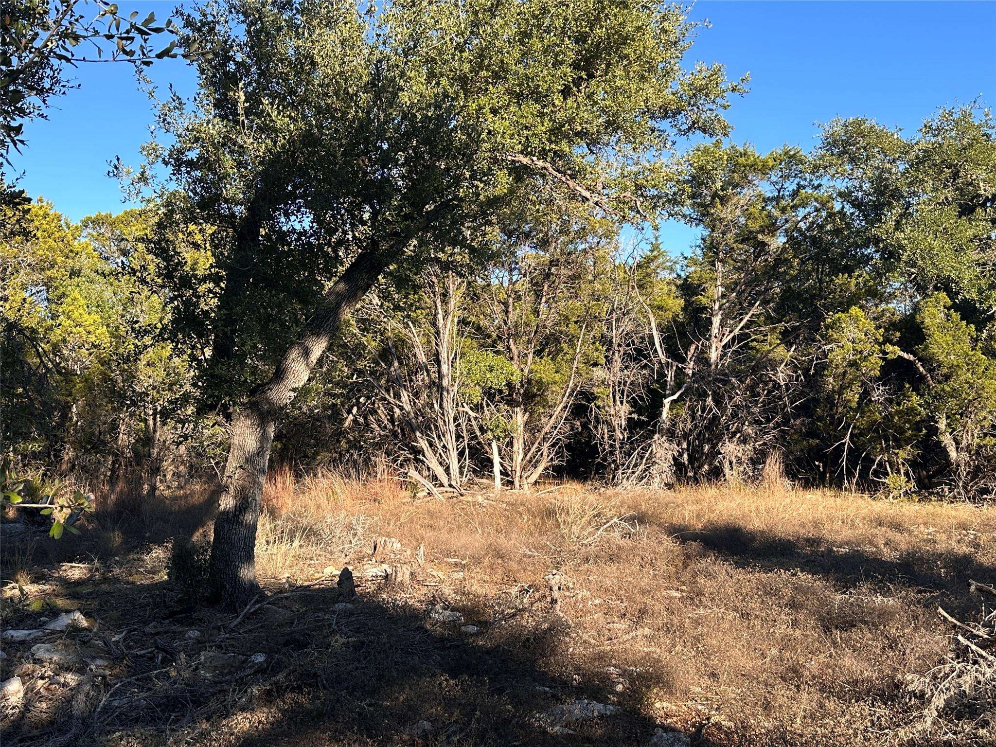 Wimberley, TX 78676,39 Persimmon DR