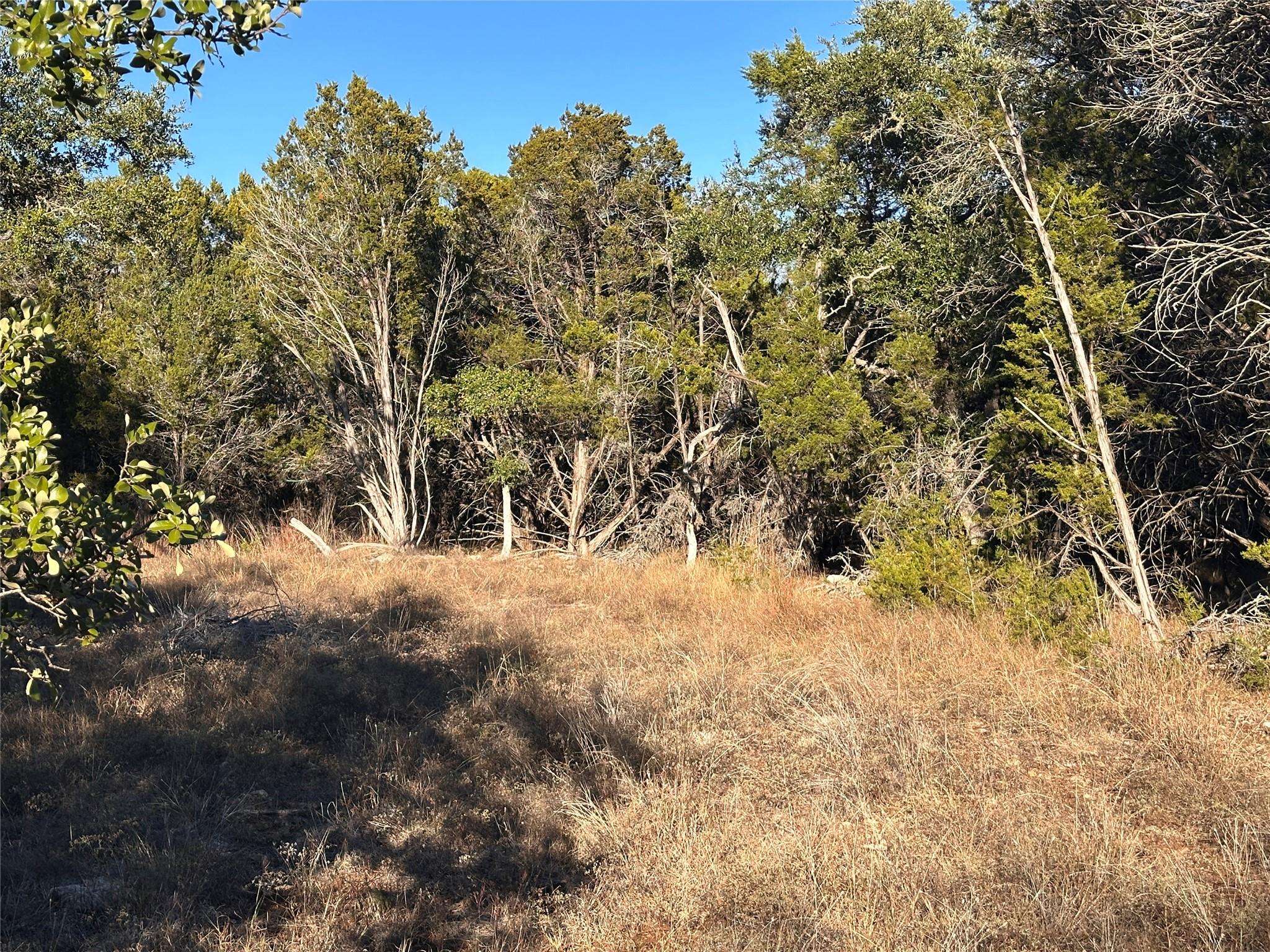 Wimberley, TX 78676,39 Persimmon DR