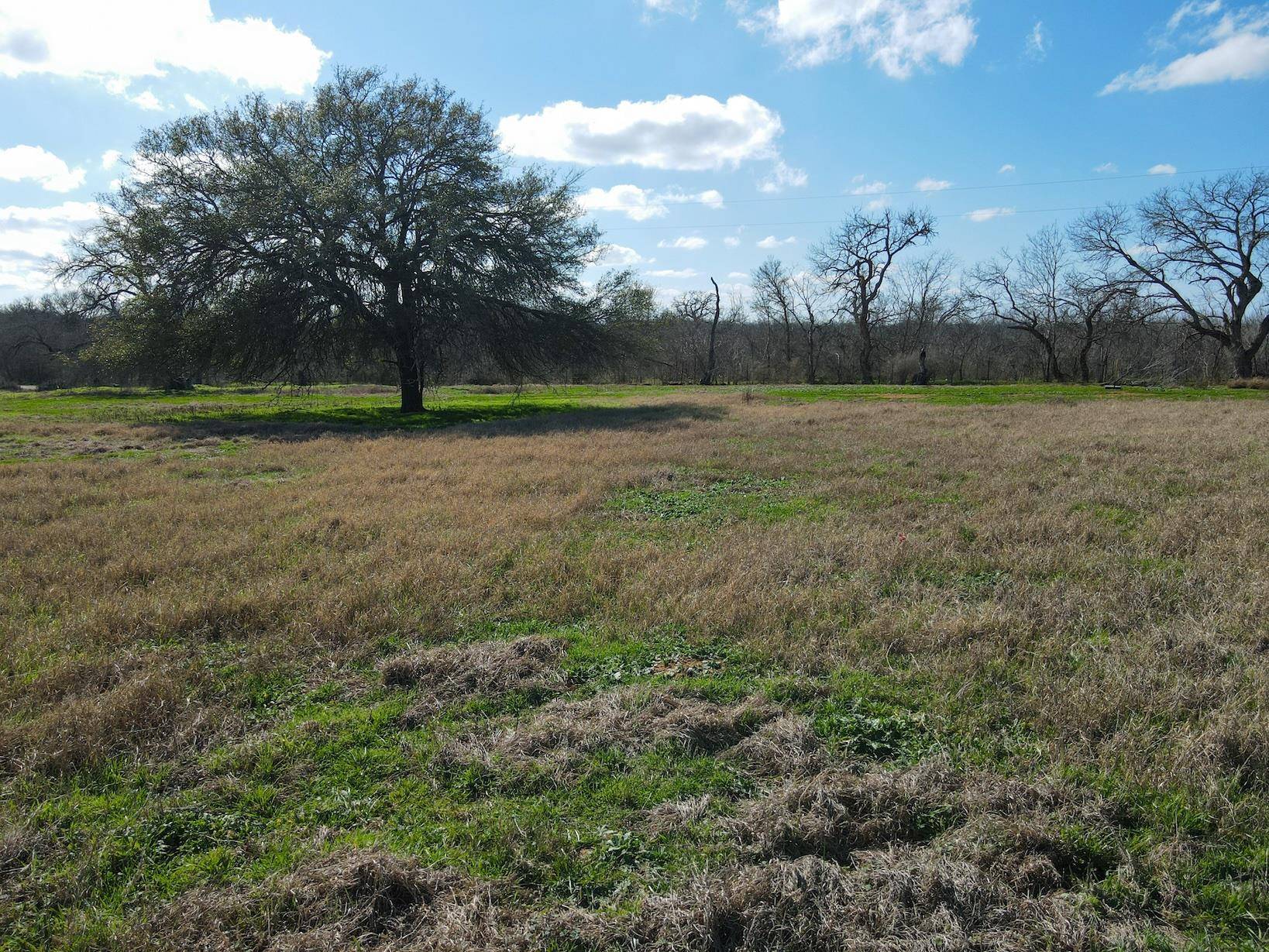 Luling, TX 78648,5411 Tenney Creek RD