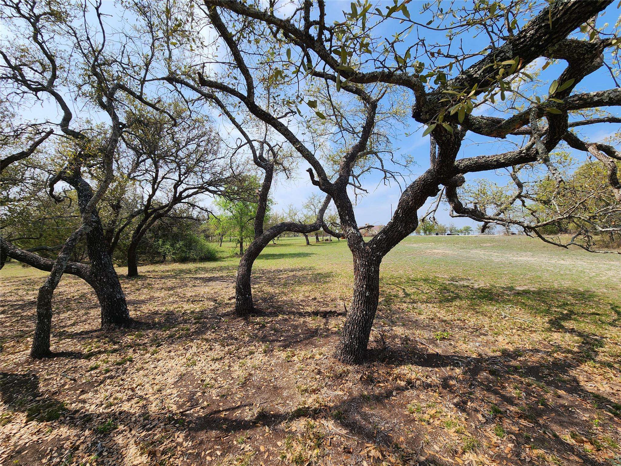 Briggs, TX 78608,212 Oak Glen LN