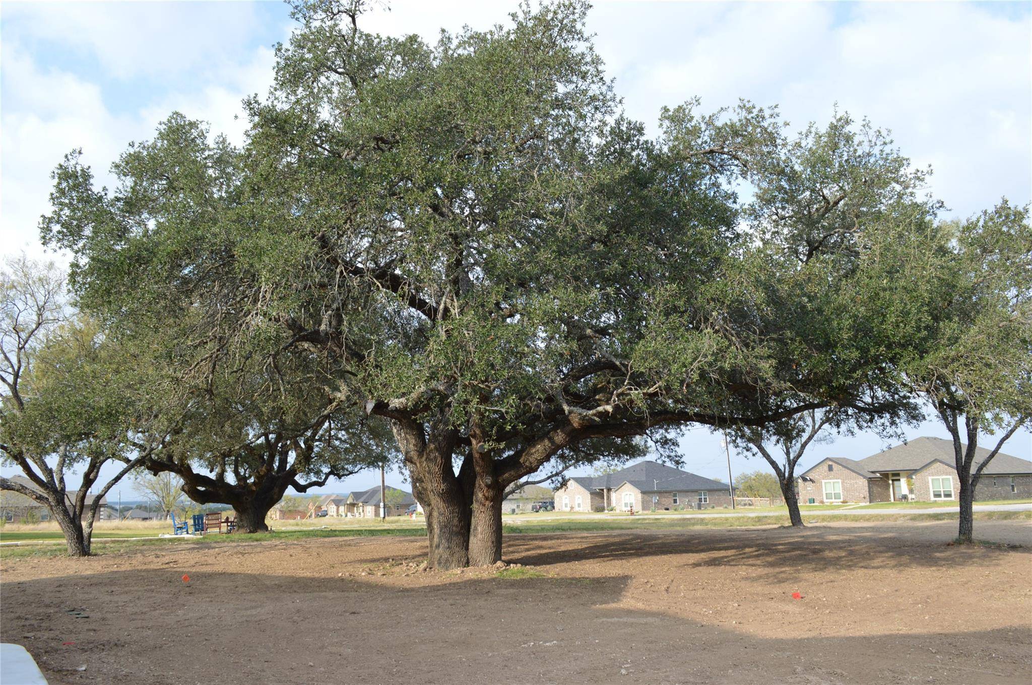 Kempner, TX 76539,425 County Road 3152