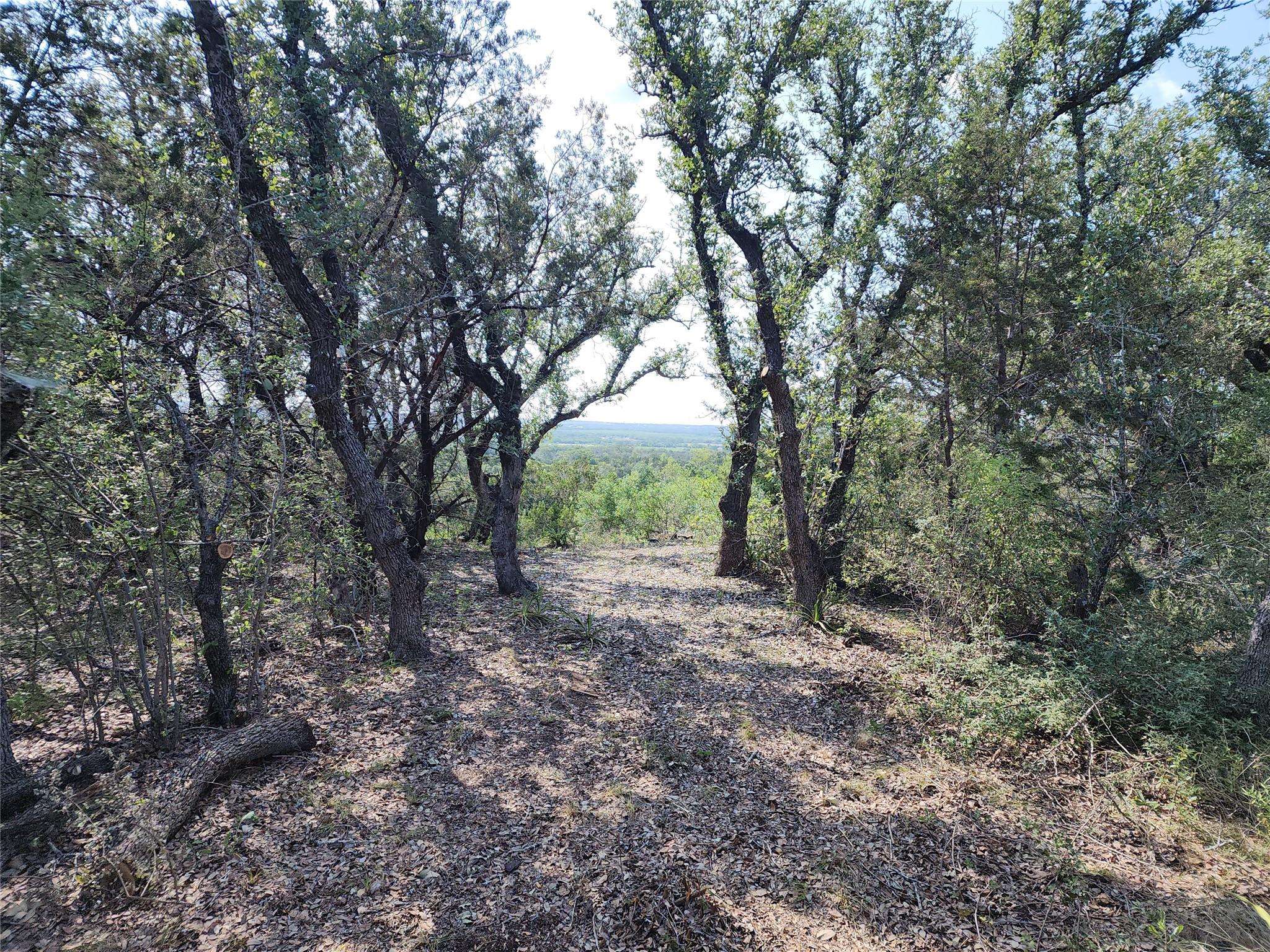 Spicewood, TX 78669,Lot 5 County Road 423 (Gregg) DR