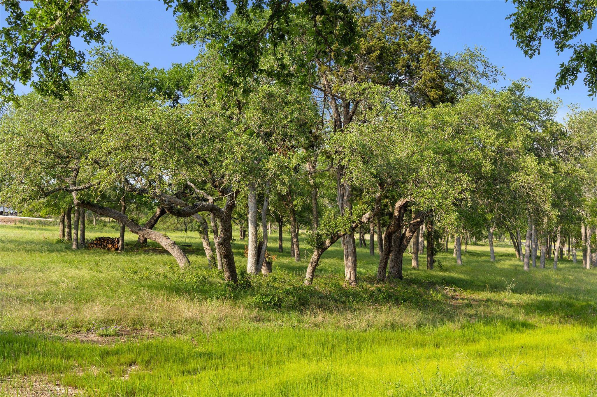 Dripping Springs, TX 78620,#24 Mesa Ranch RD