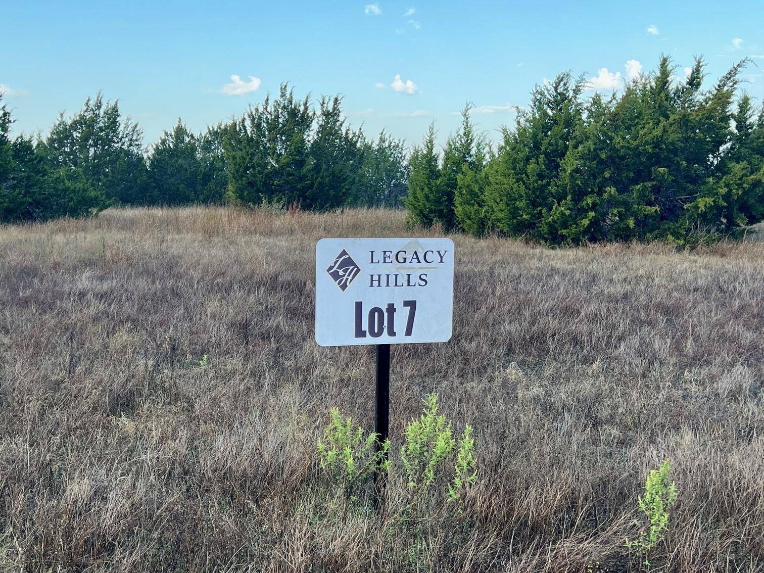 Johnson City, TX 78636,Lot 7 W Flying Owl Dr