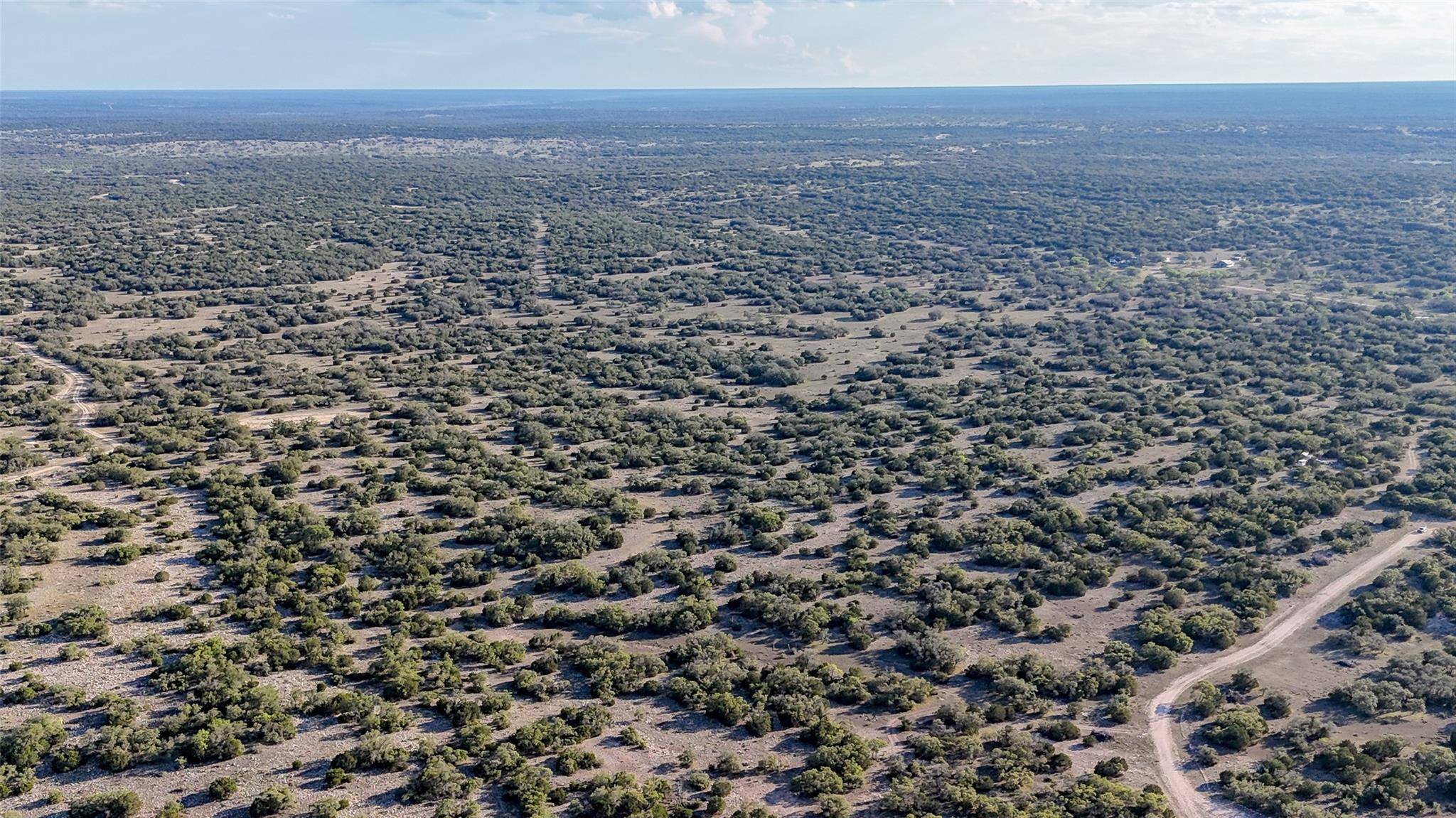 Eldorado, TX 76935,1595 Blackbuck DR E
