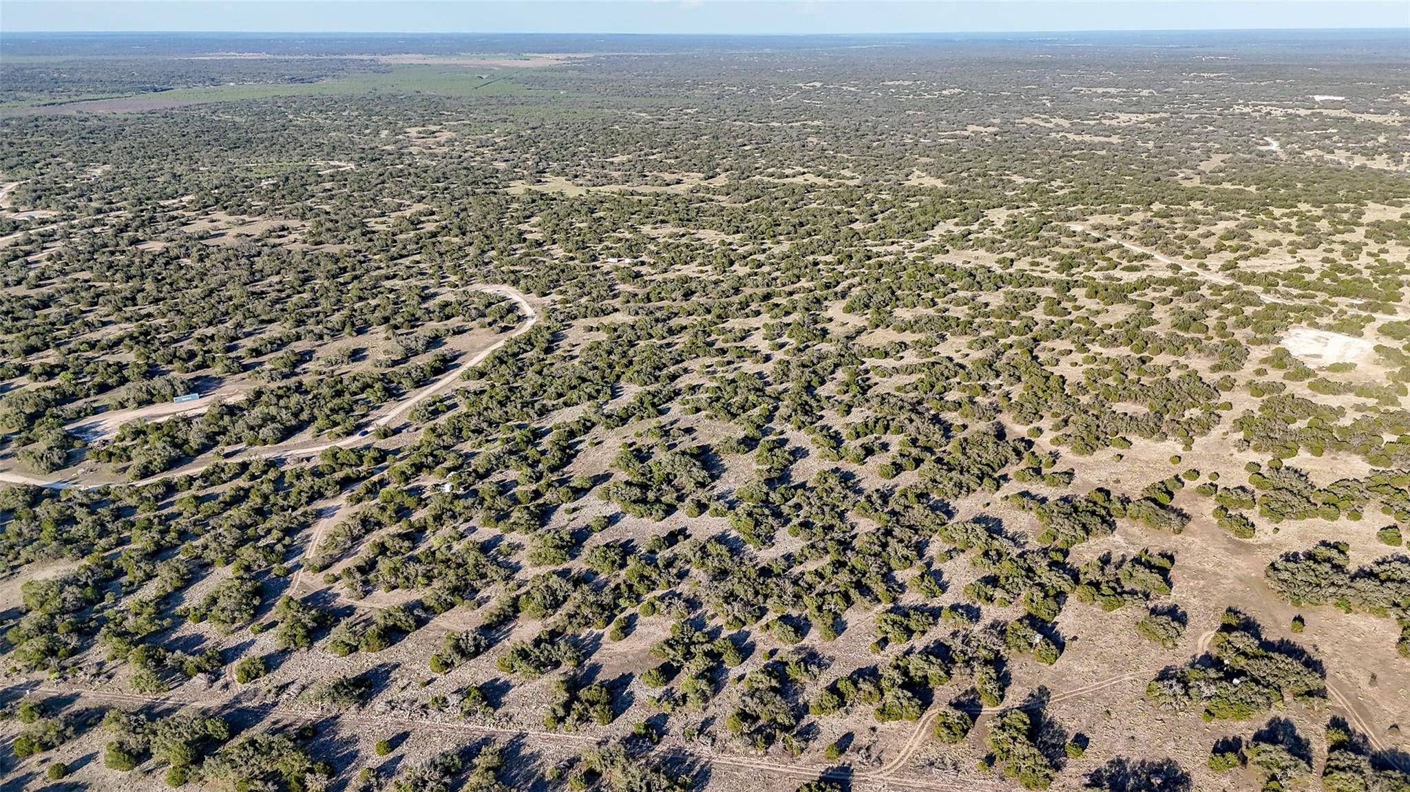 Eldorado, TX 76935,1595 Blackbuck DR E