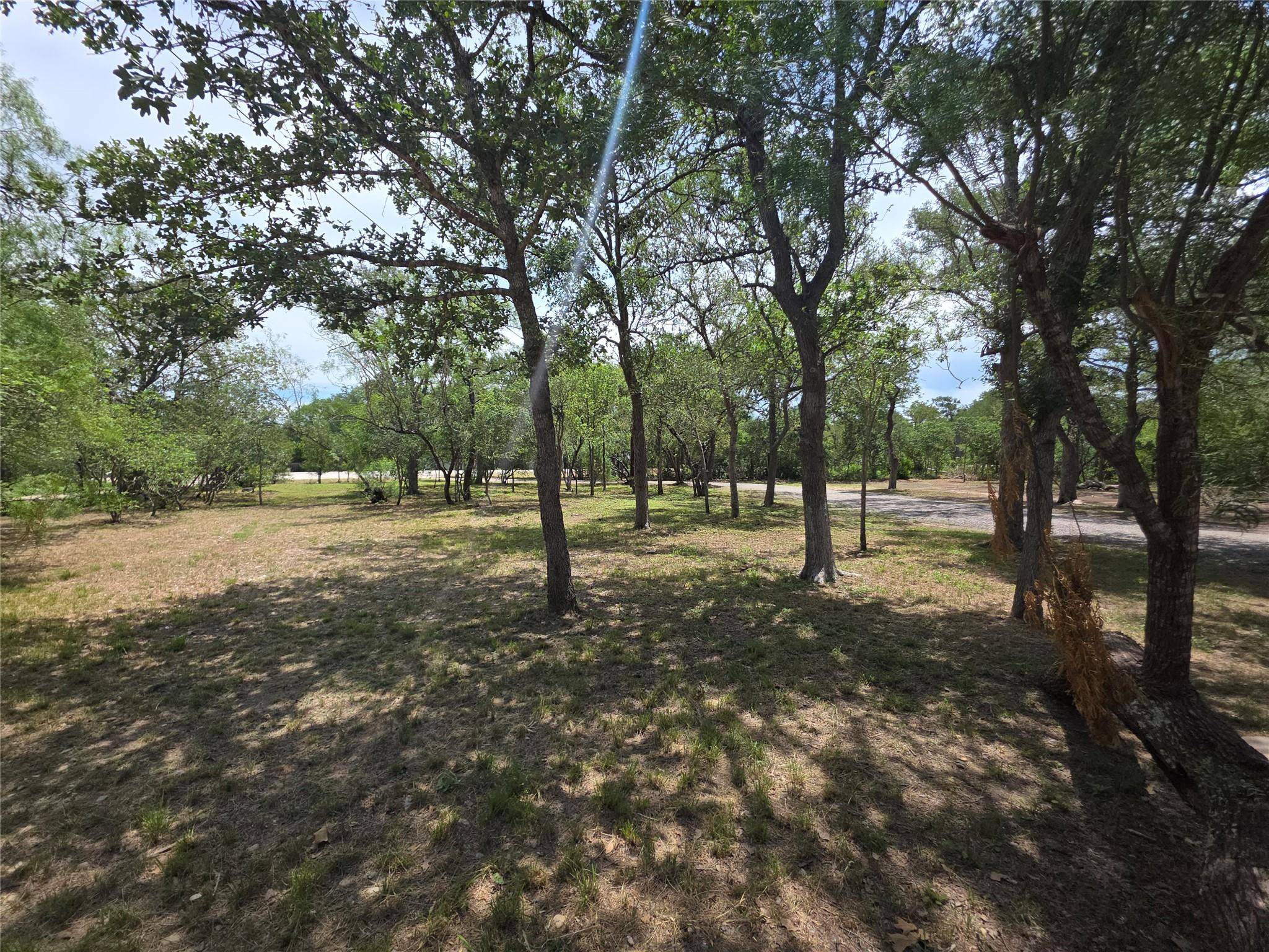 Cedar Creek, TX 78612,184 Oak Forest CT