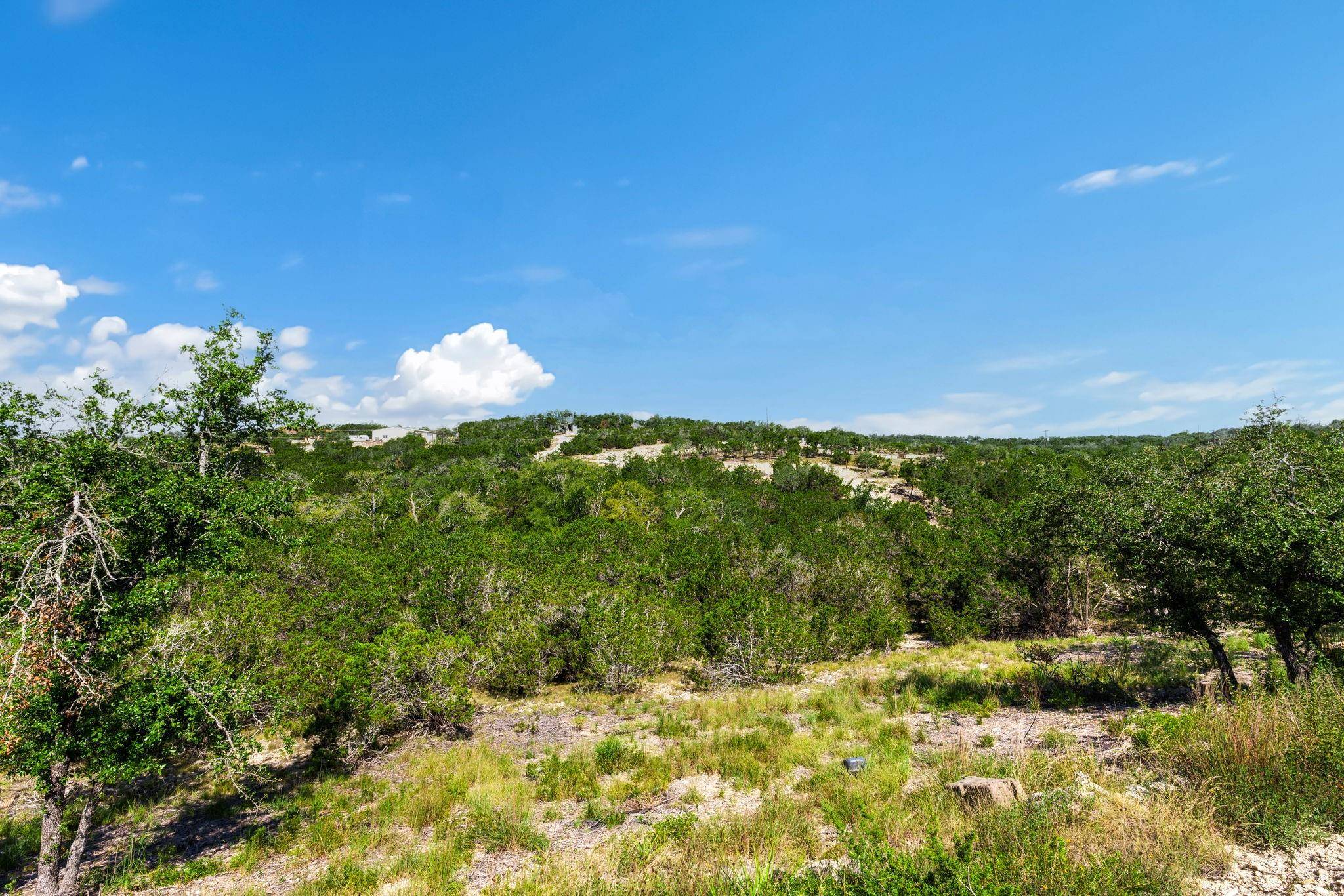 Blanco, TX 78070,472 Stallion Estates DR