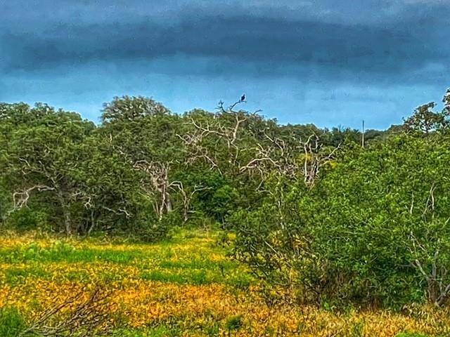 Richland Springs, TX 78761,0000 CR 296