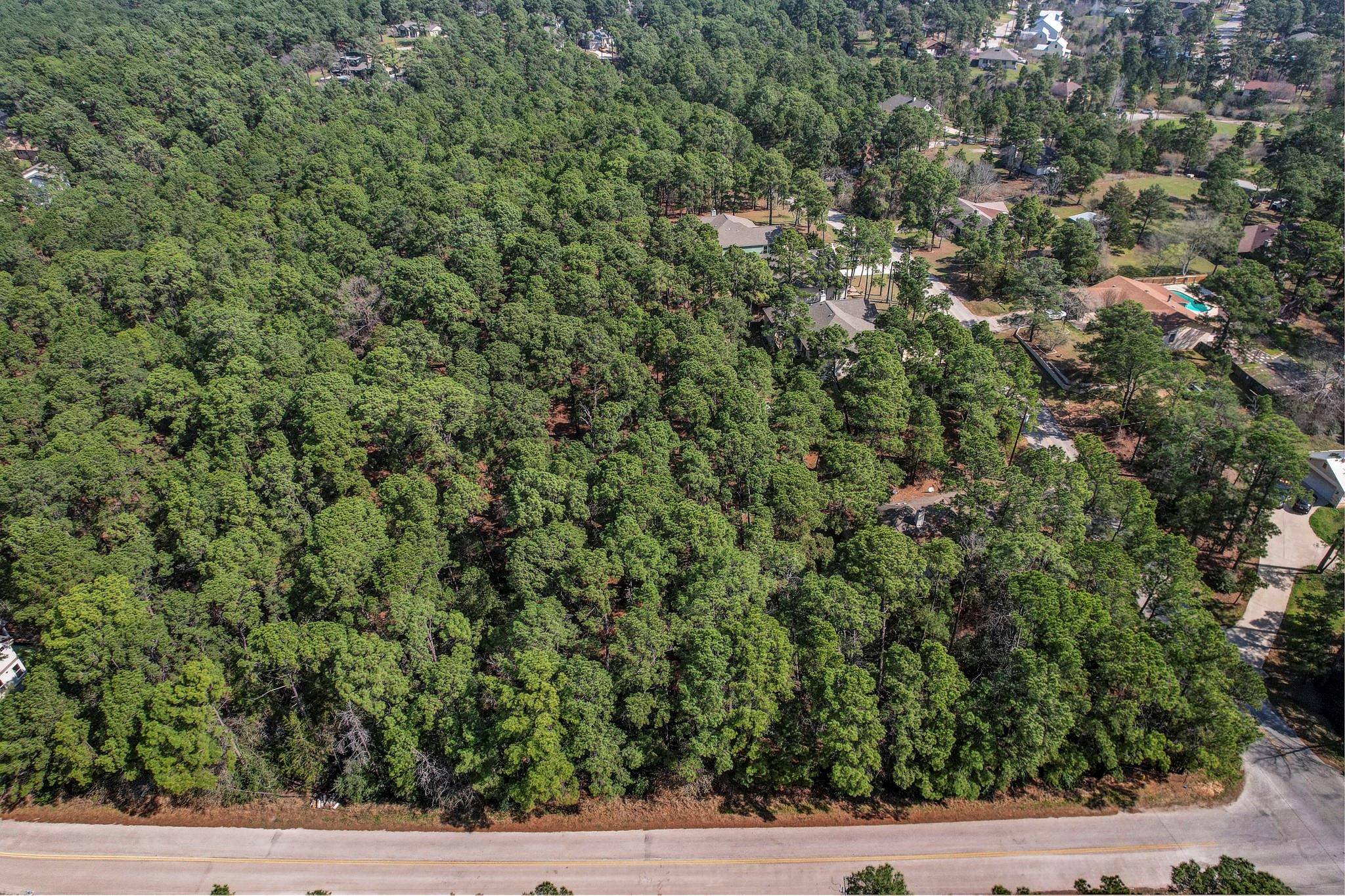 Bastrop, TX 78602,TBD2 Kaanapali LN