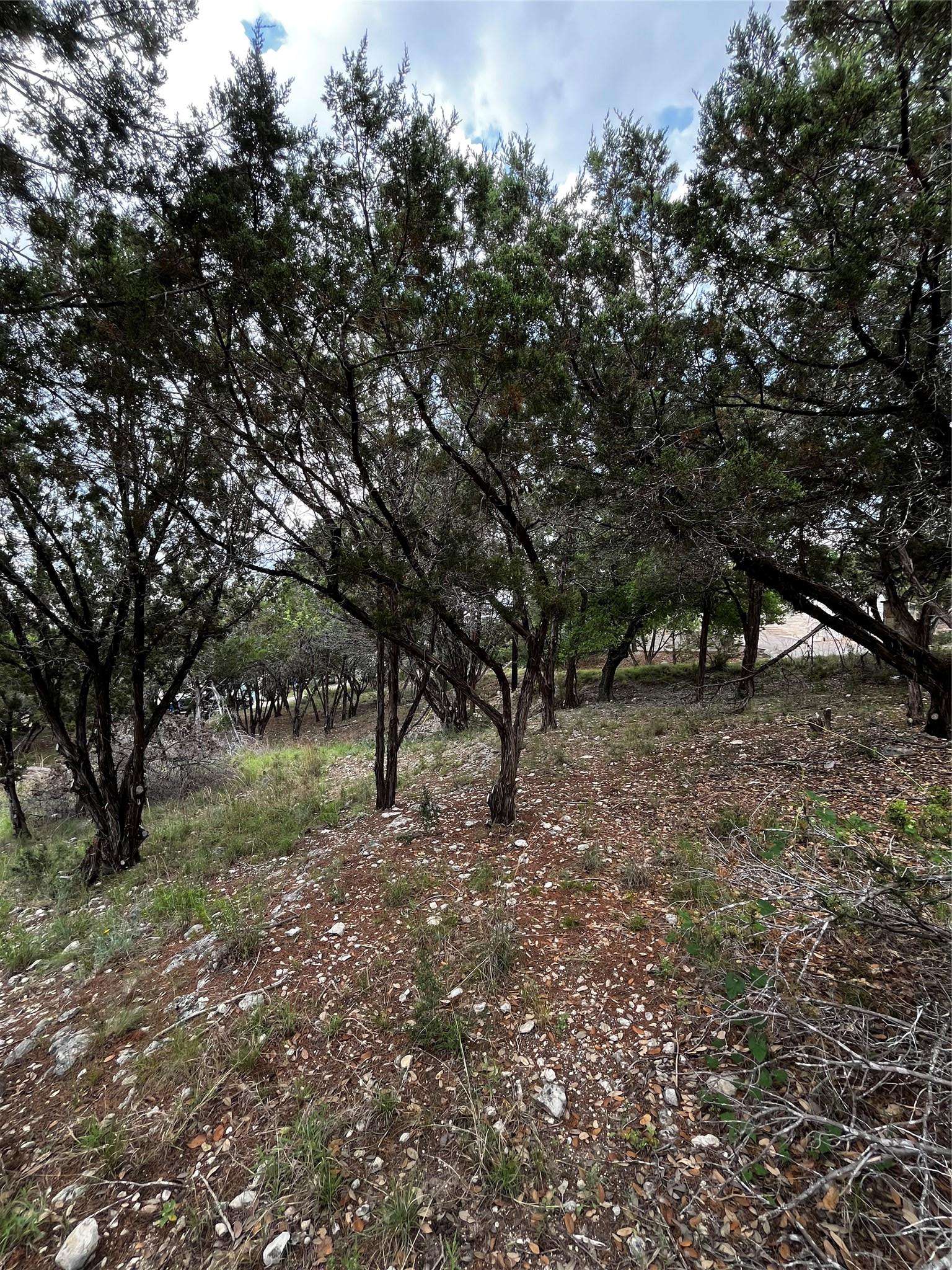 Lago Vista, TX 78645,21508 Mount View DR