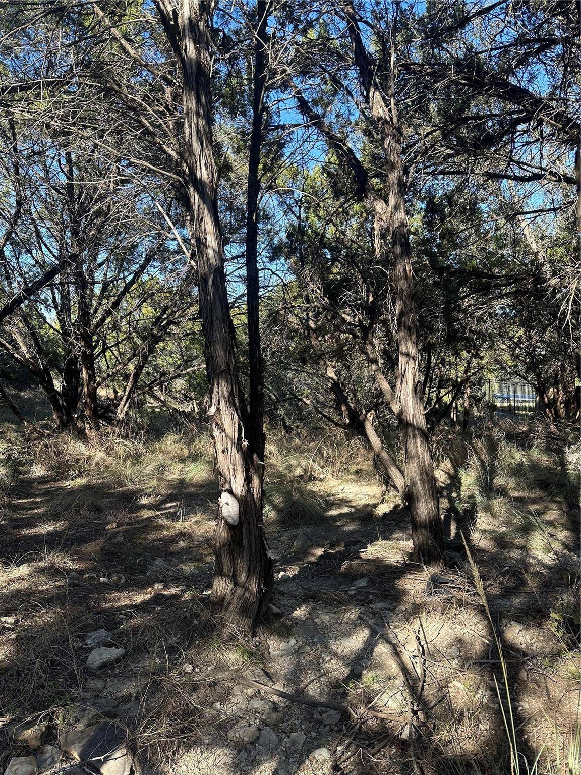 Lago Vista, TX 78645,20700 Branding Iron