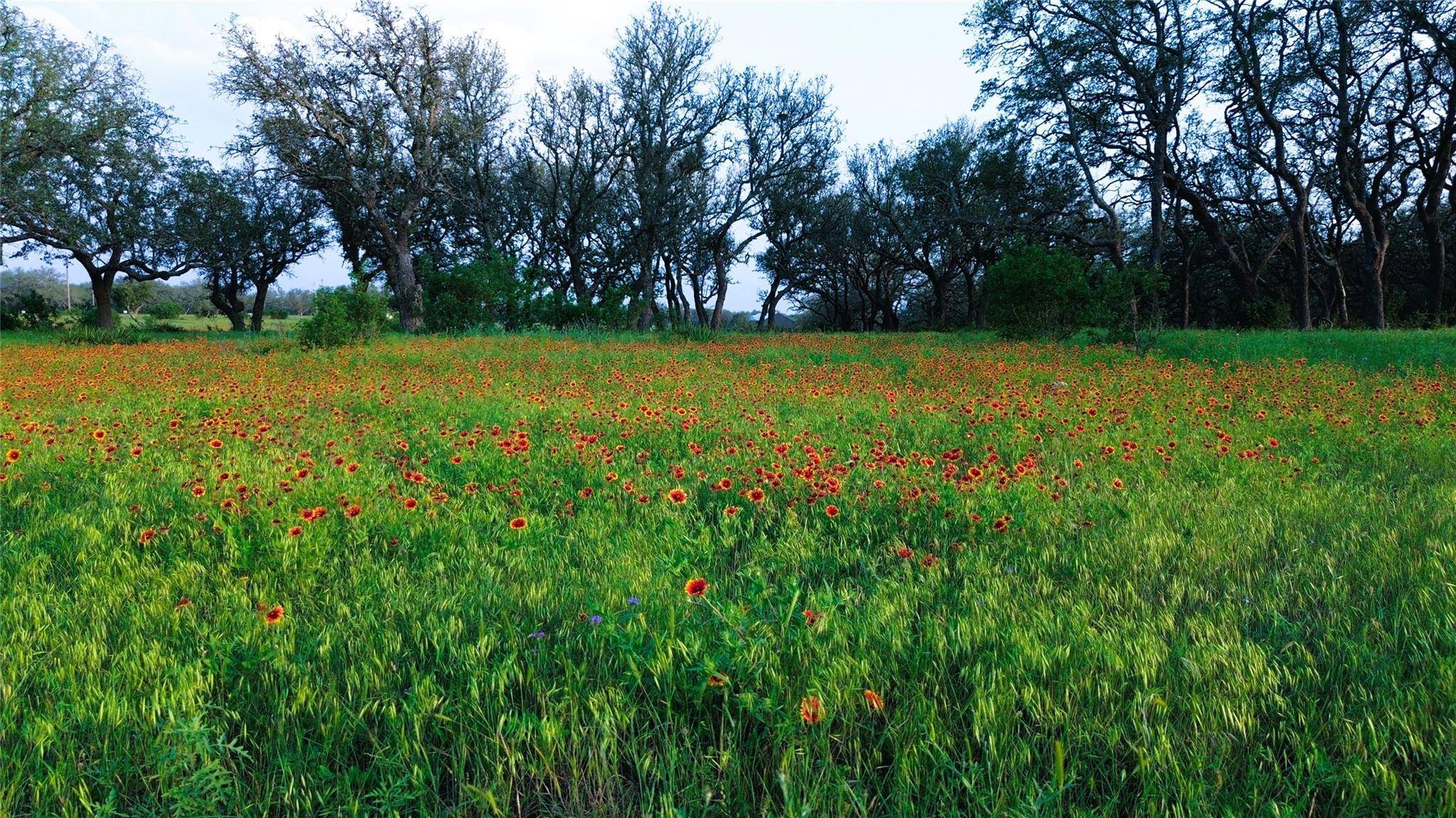 Lampasas, TX 76550,100 S Waterbuck WAY