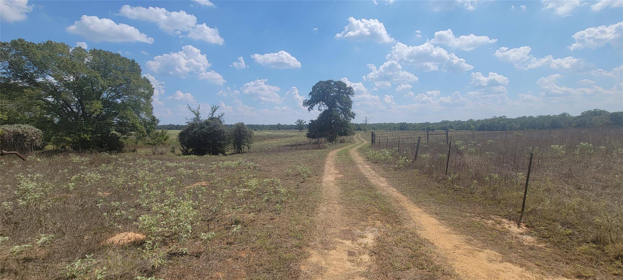 Milano, TX 76556,000 Country Road 342