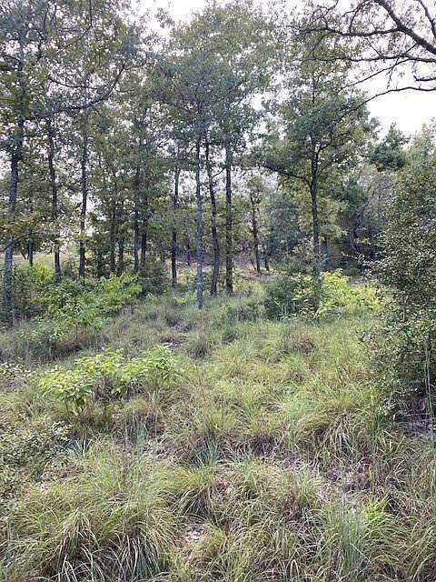 Bastrop, TX 78602,TBD Kaelepulu Dr.