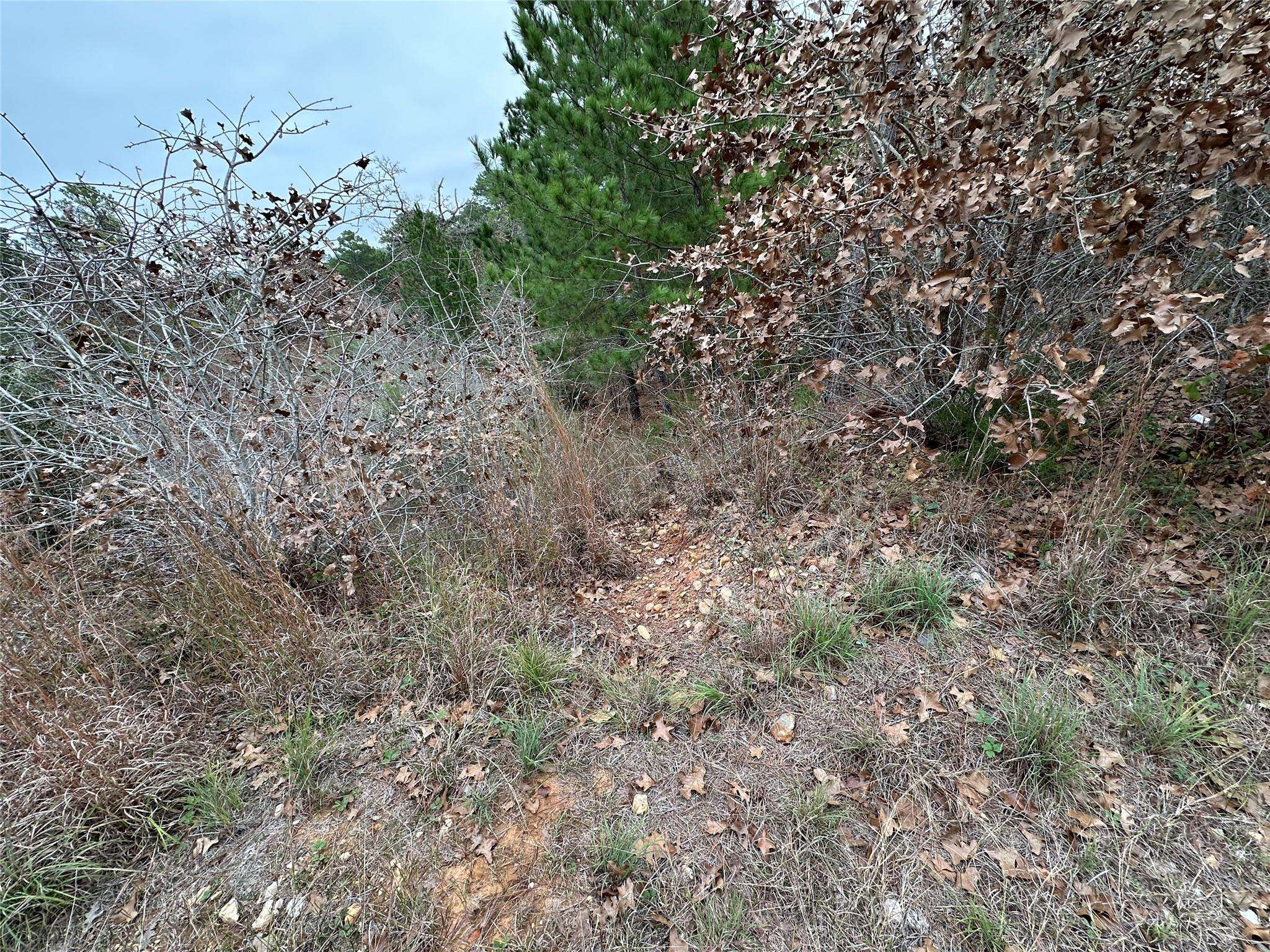 Bastrop, TX 78602,TBD N. Pahihi DR